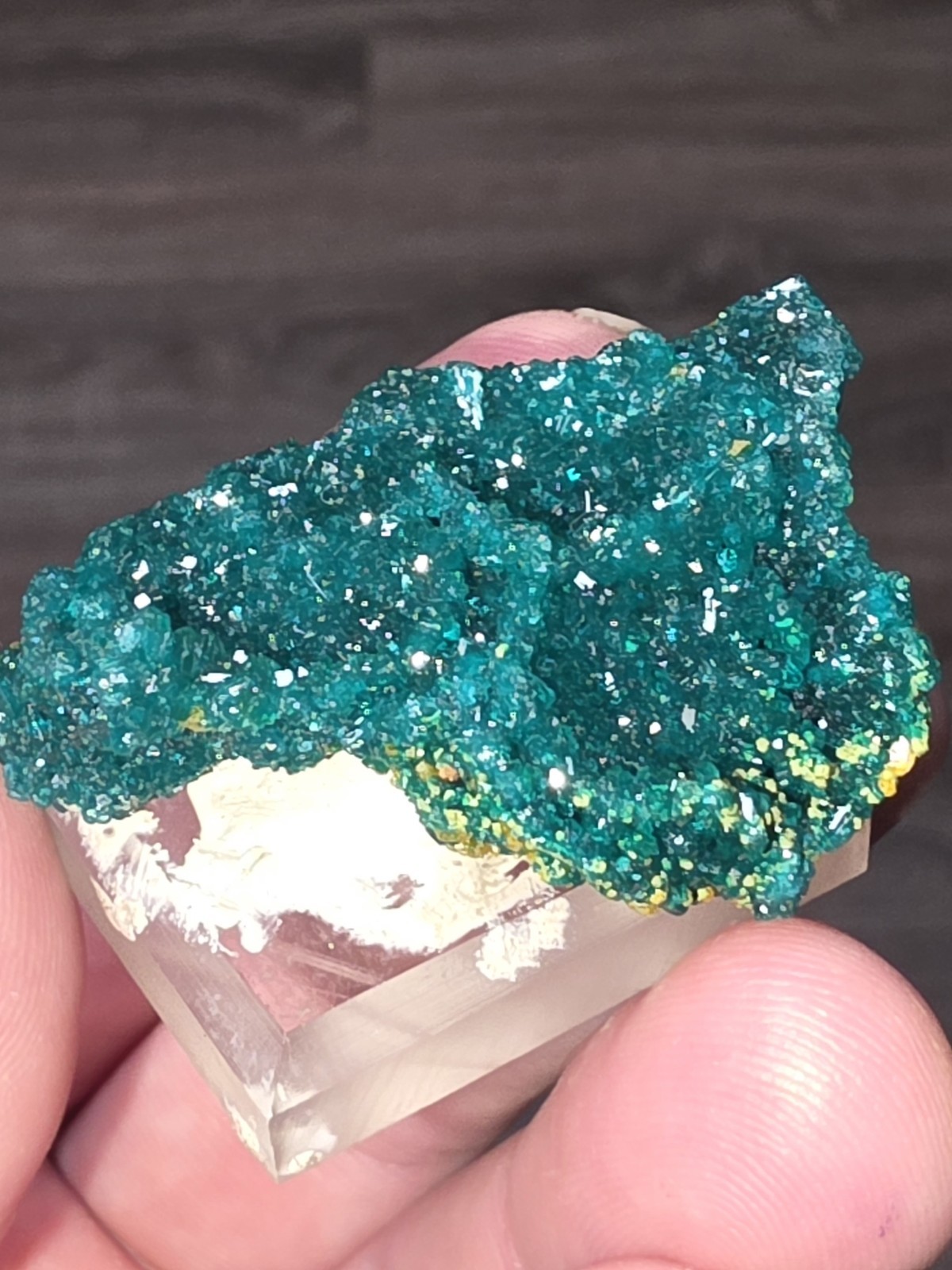 DIOPTASE w/ Wulfinite Crystal Mineral Specimen Cluster Green CONGO AFRICA 4.5 cm