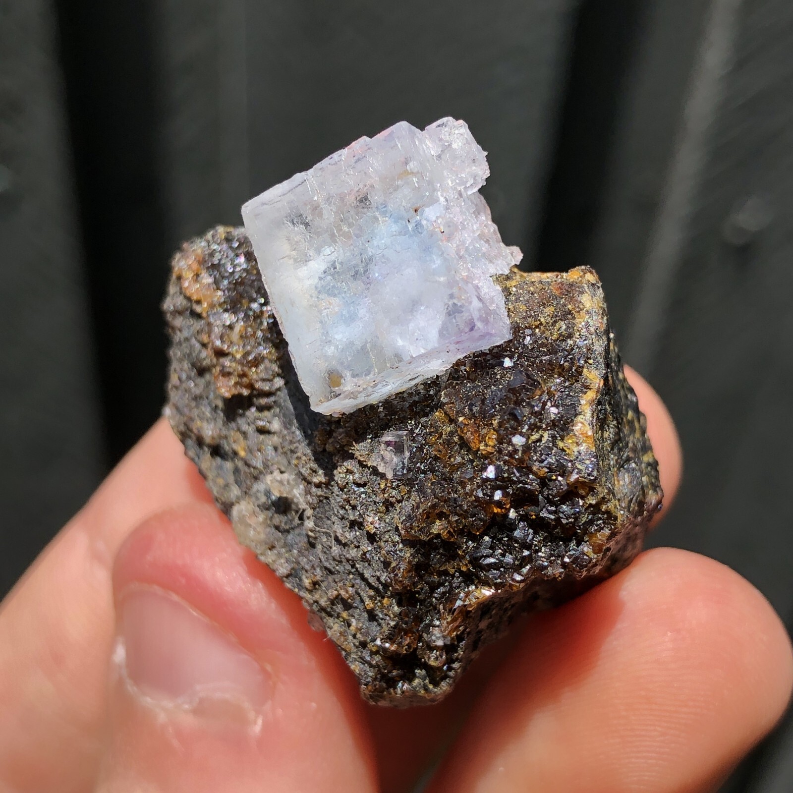 3.5cm Blue Fluorite on Sphalerite from Annabel Lee Mine, Illinois, USA