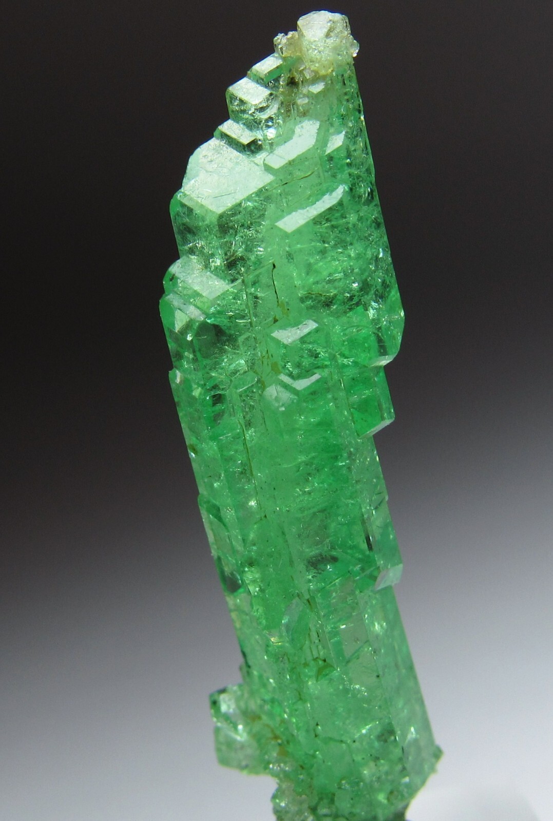 UNSURPASSED ELITE LIGHTNING BOLT TSAVORITE GROSSULAR GARNET CRYSTAL!!! TANZANIA