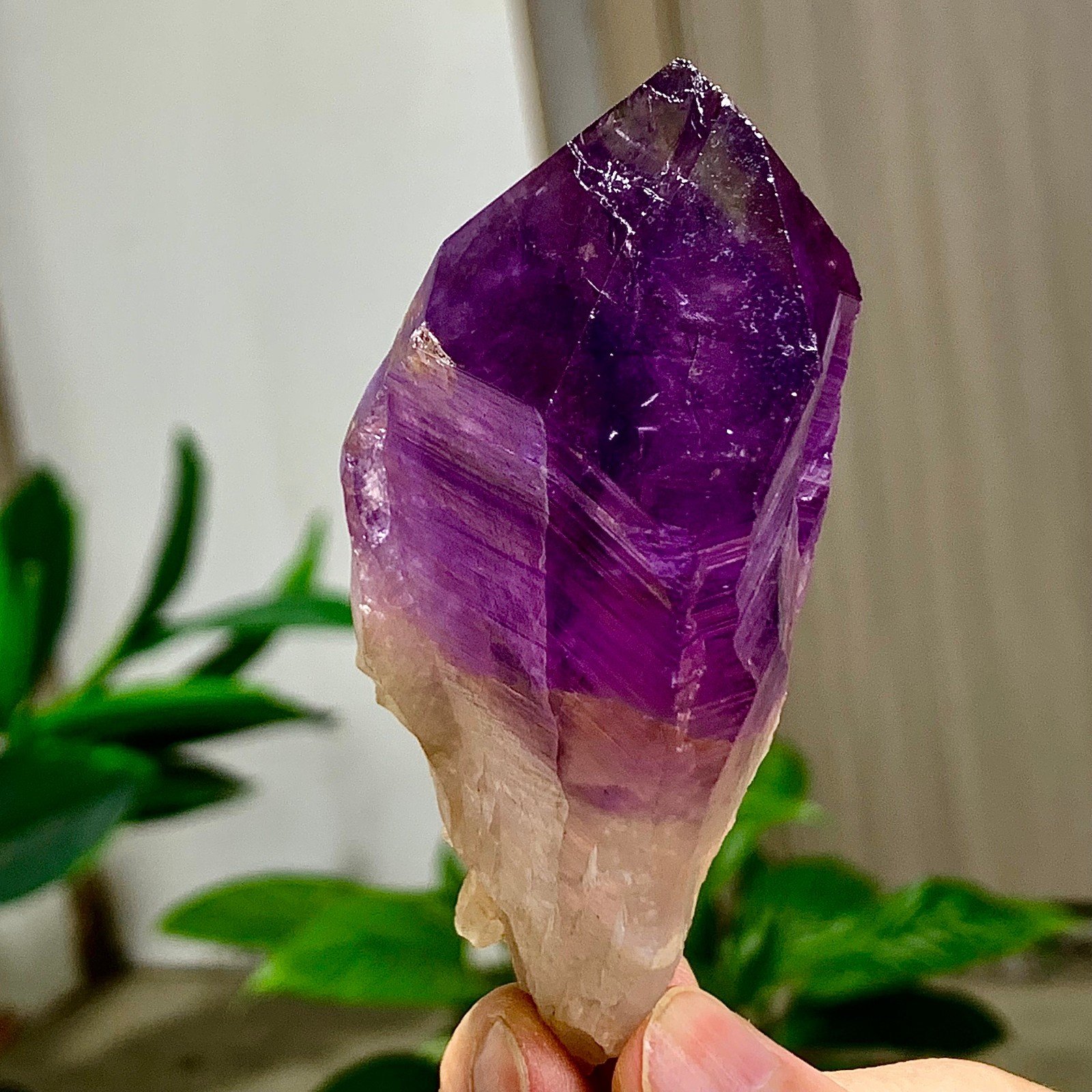 146G Natural Amethyst geode quartz cluster crystal specimen Healing