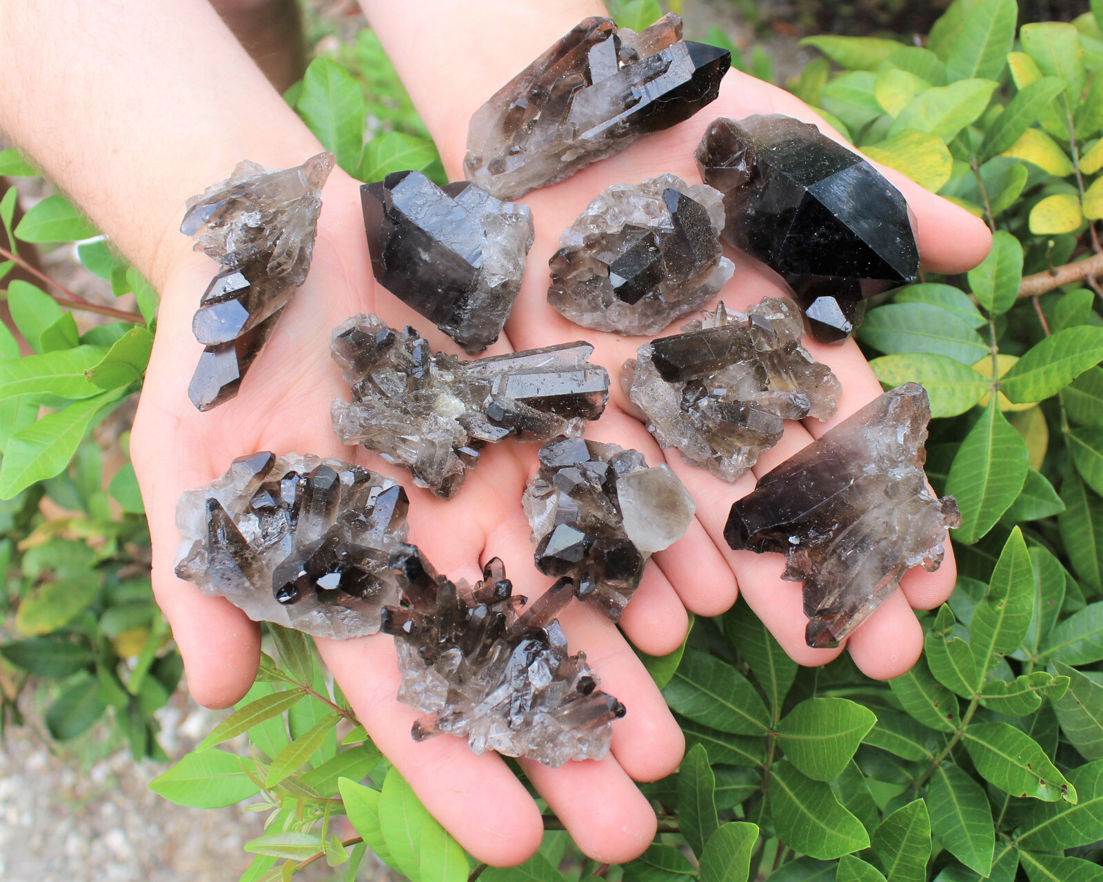 Natural Clear Quartz & Smoky Quartz Crystal Clusters 8-12 Piece Box Lot