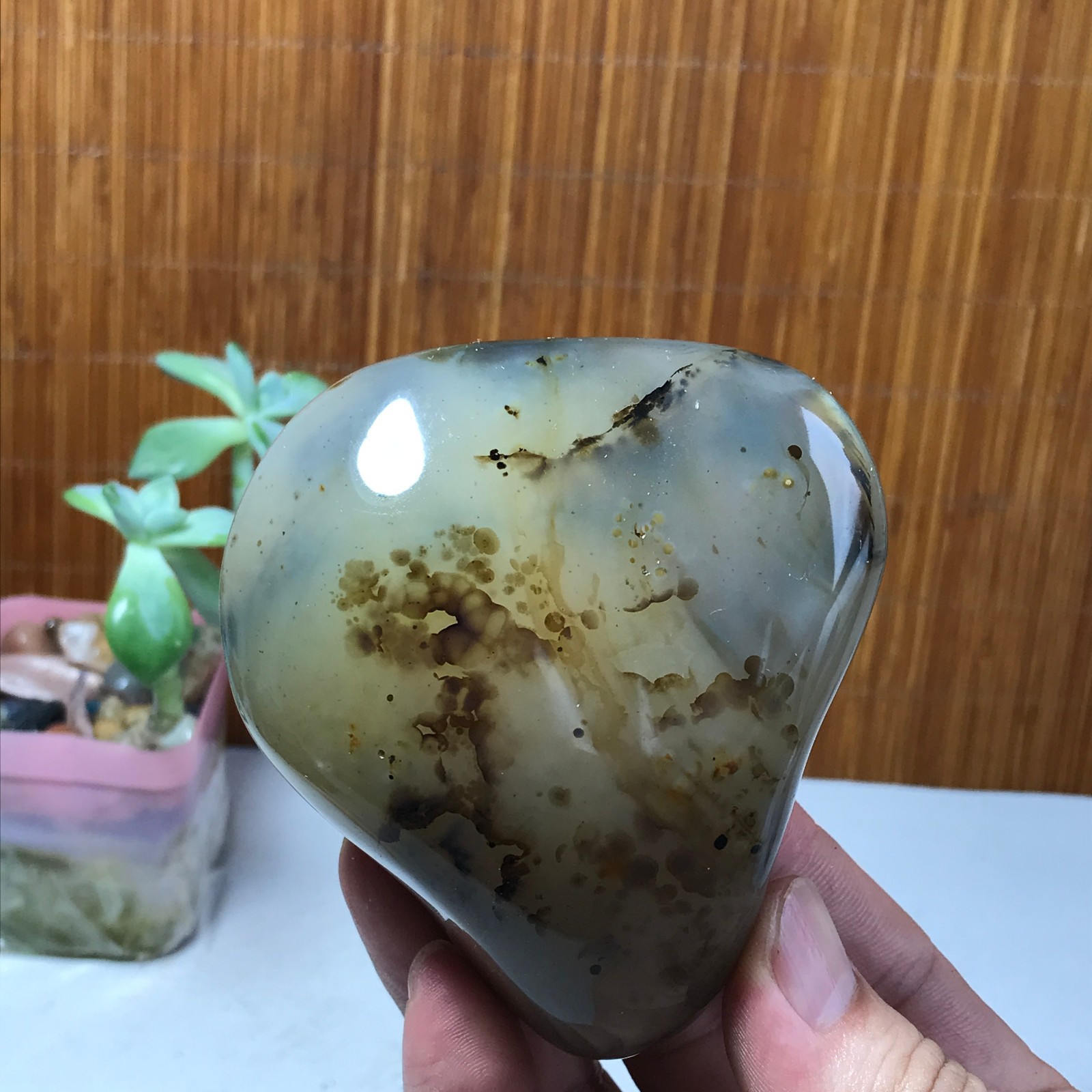 86-75-34mm Natural aquatic plants agate pretty Crystal specimens 300g A1638