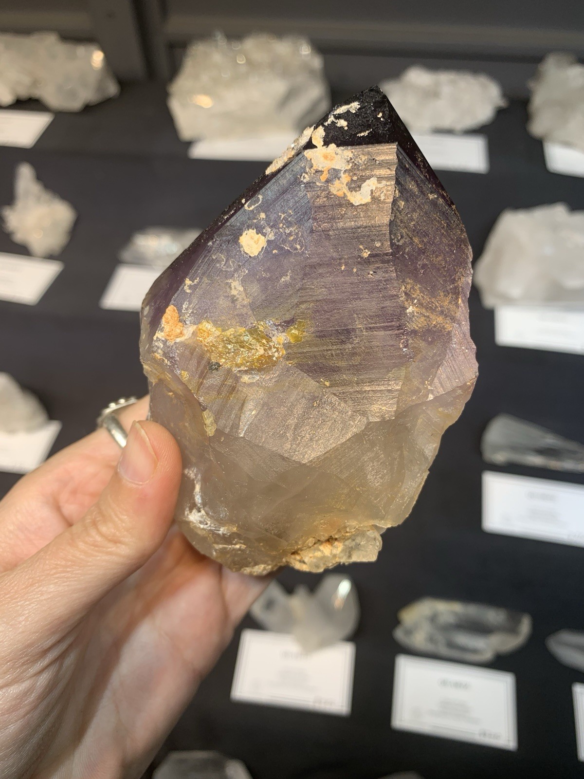 Amethyst Crystal Point from Australia dug by Patrick Gundersen Crystals of AUS