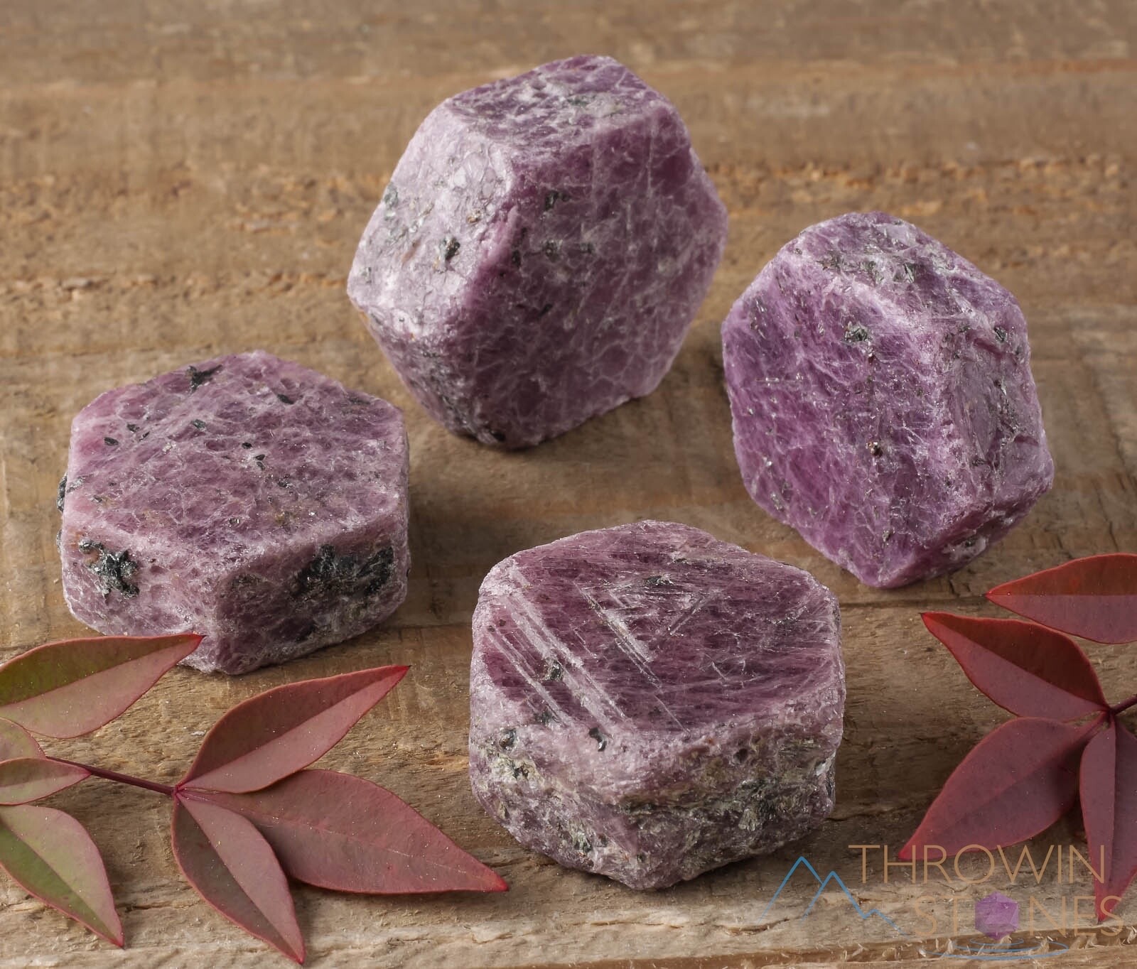 RUBY Raw Crystal – Record Keeper, Corundum, Hexagon – Birthstone, Stone, E0063