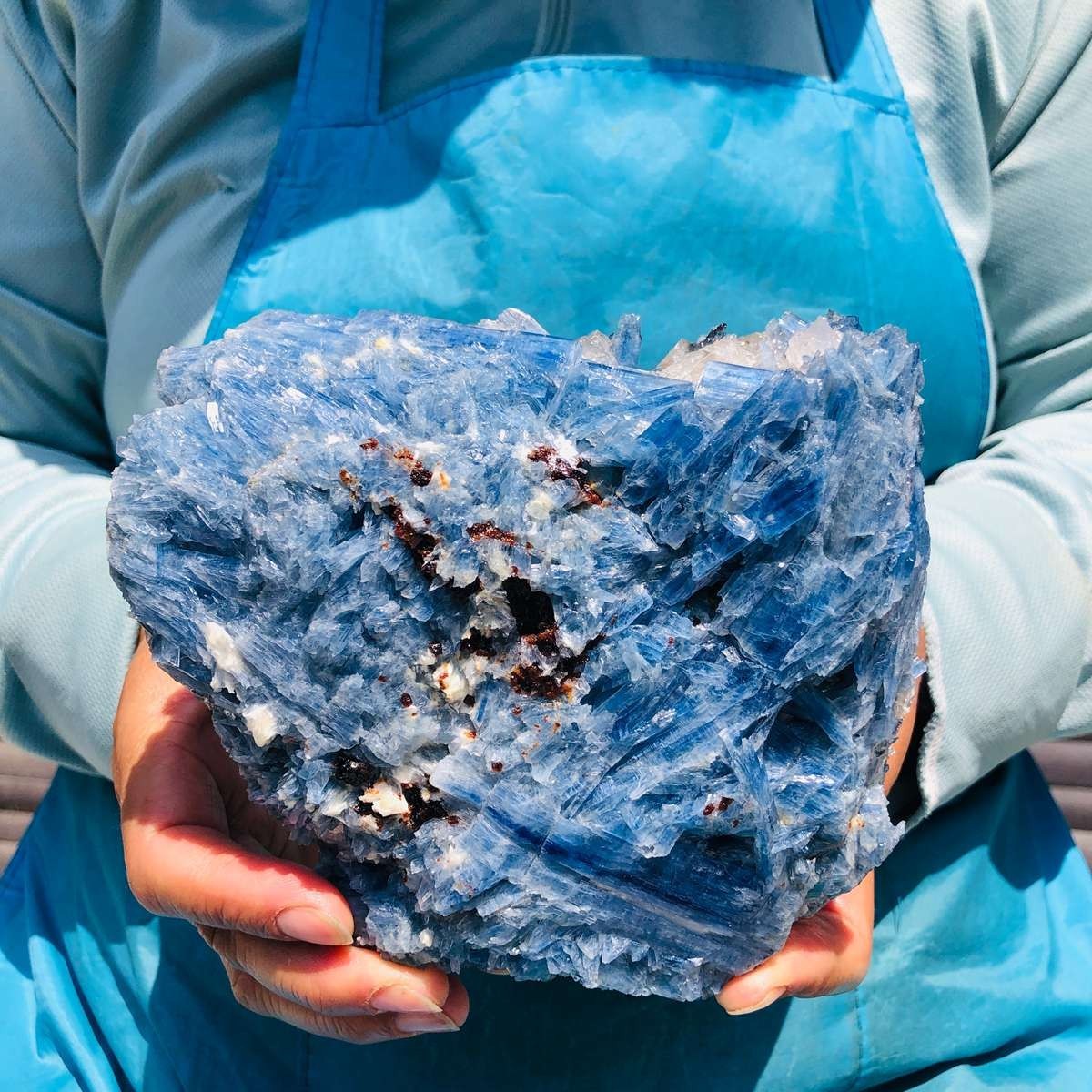 4.02LB Natural Blue Kyanite Cluster with Clear Quartz Matrix Crystal Specimen
