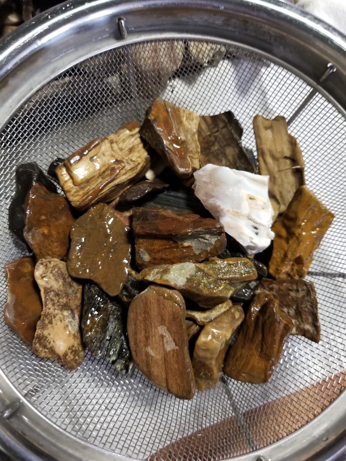 Rough Petrified Wood Stones for Tumbling Bulk Mix from Nebraska 2 lb Lot