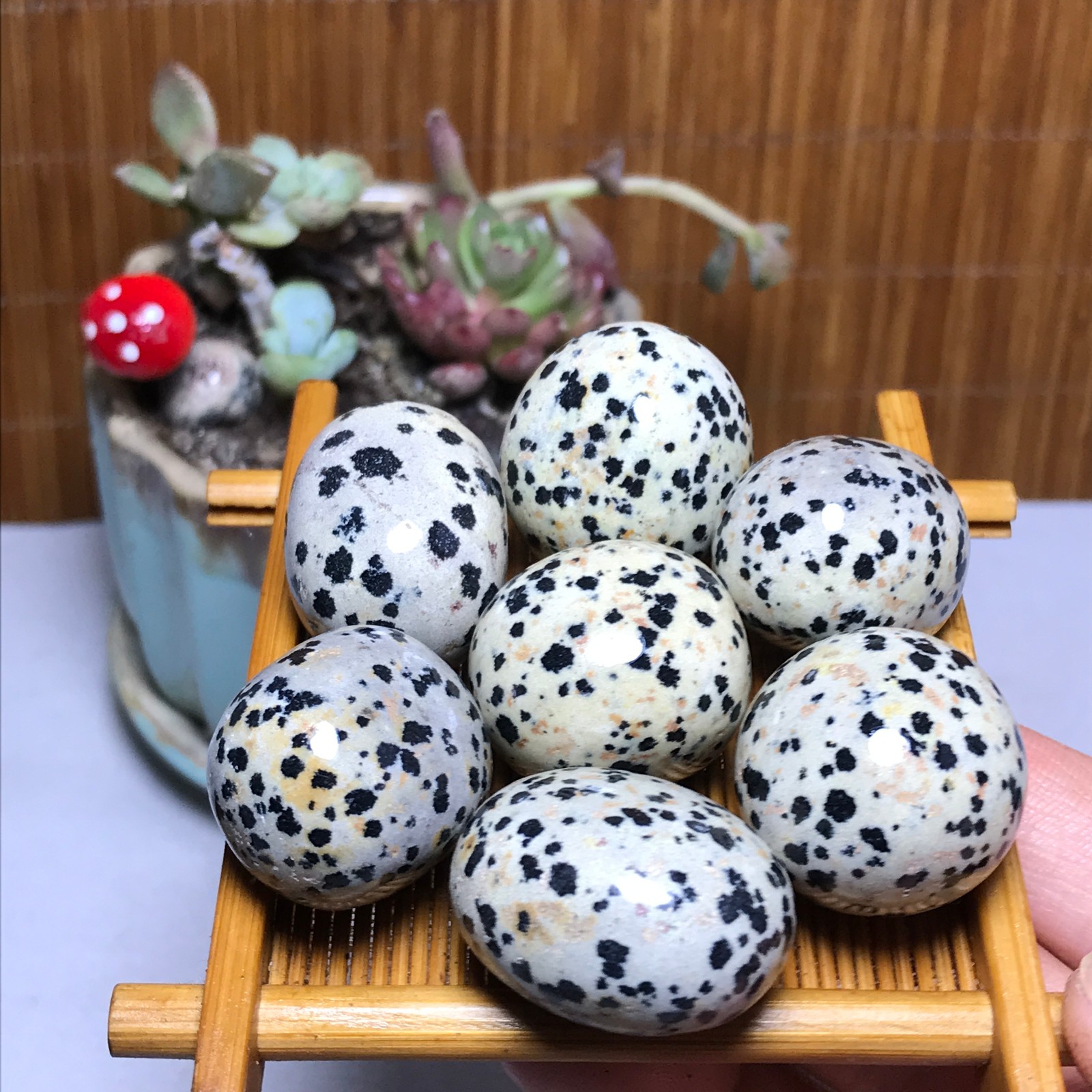 25-22-22mm 7Pcs Natural spotted stone Crystal gemstone Mineral Specimen A4408