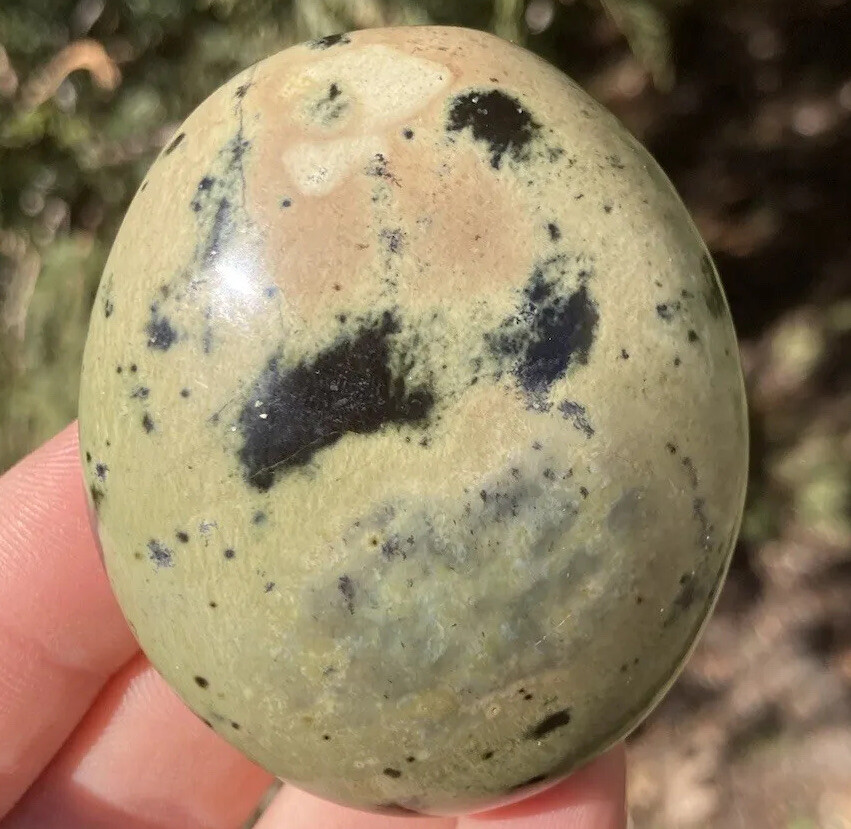 Handmade Polished SERPENTINE Healing Crystal Palm Stone Pebble ZIMBABWE 2.44″