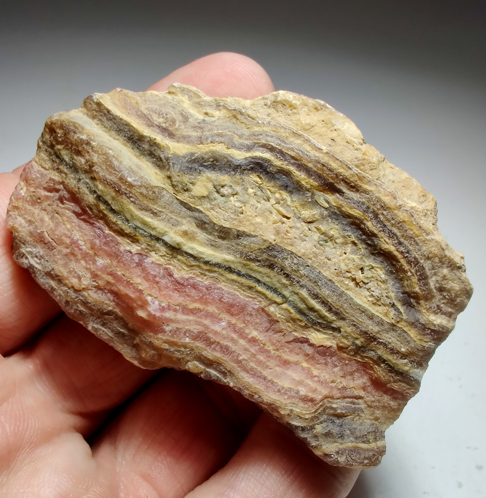 Rhodochrosite, banded layers. Capillitas, Argentina. 141 grams.