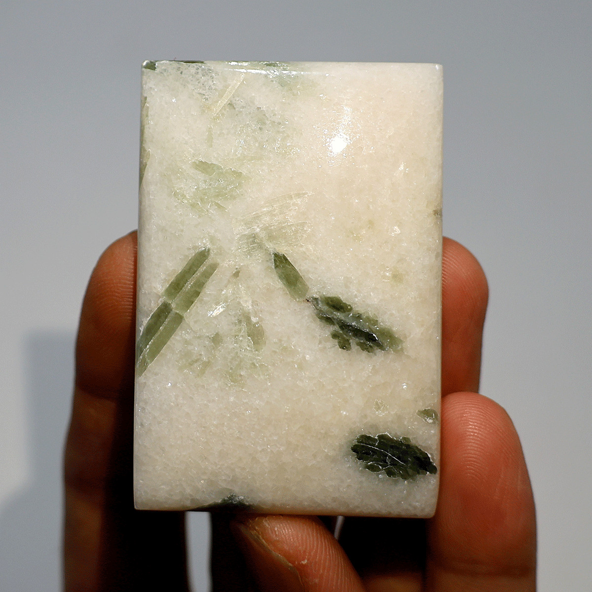 Botanical Quartz – Natural Green Tourmaline Needle Formation Crystal Palm Stone