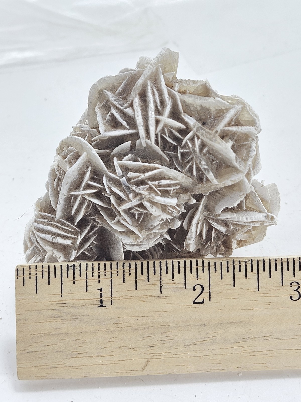 Natural Desert Rose Selenite Cluster – Mexico – Bladed Gypsum Crystal Specimen