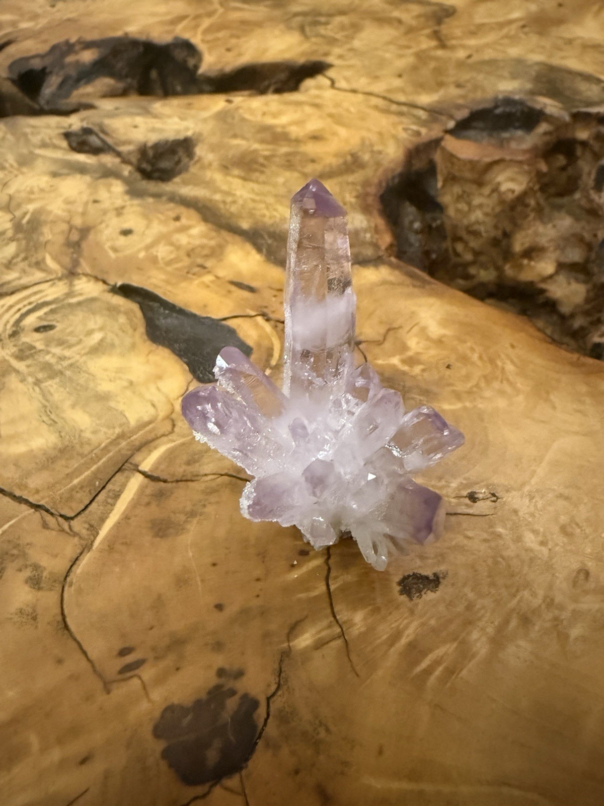 Veracruz amethyst crystal Cluster collector specimen w Druzy
