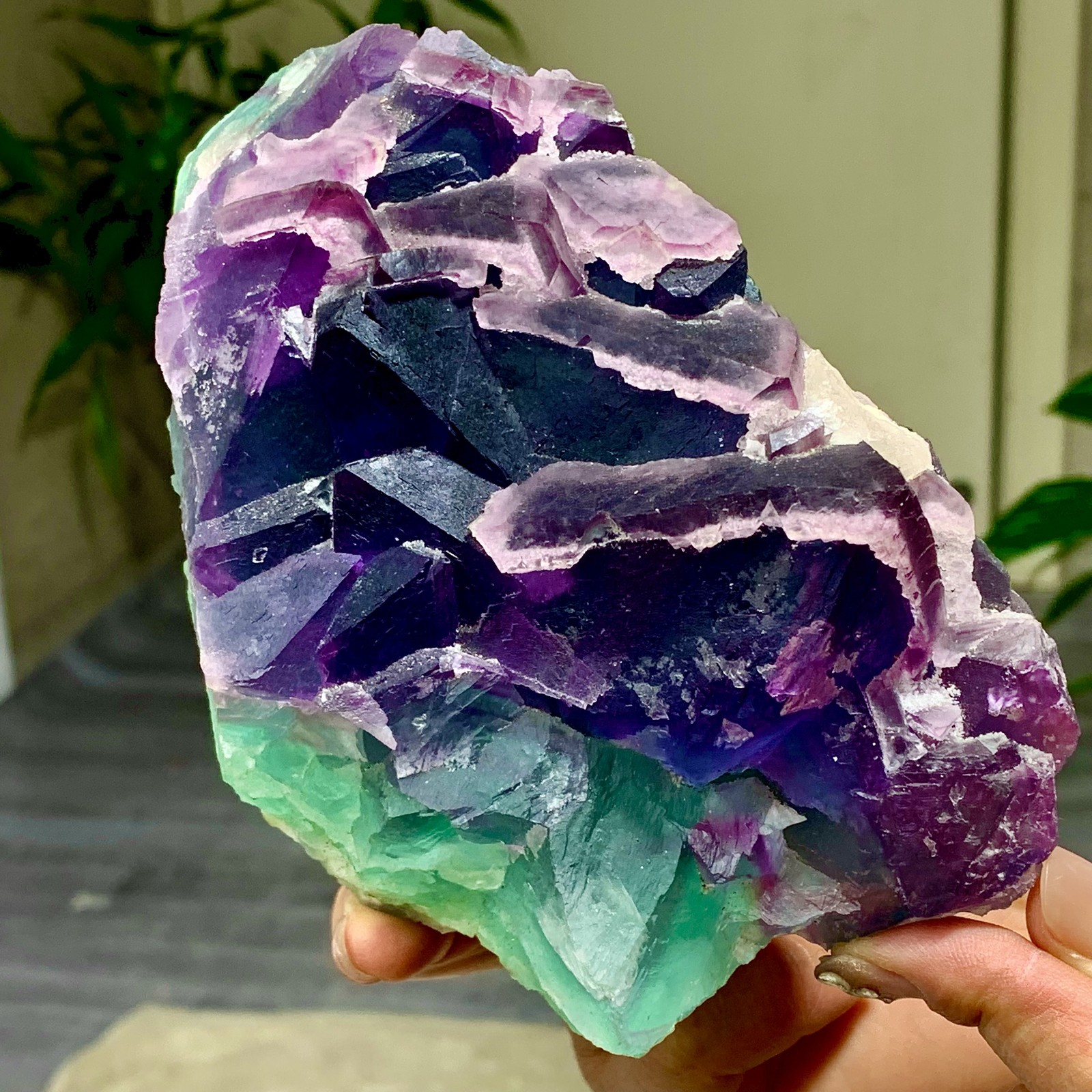 3.49LB Rare transparent purple-green cubic fluorite mineral crystal sample/China