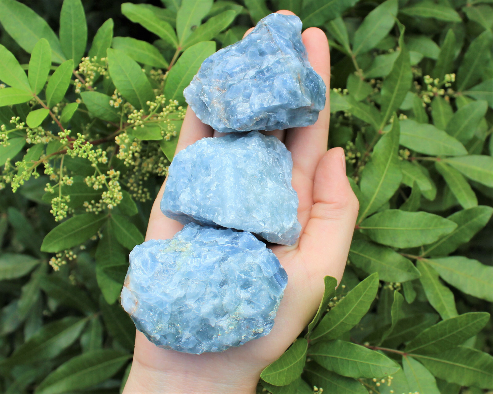 LARGE Rough Blue Calcite Natural Chunk, 2″ – 3″ (Raw Calcite, Crystal Healing)