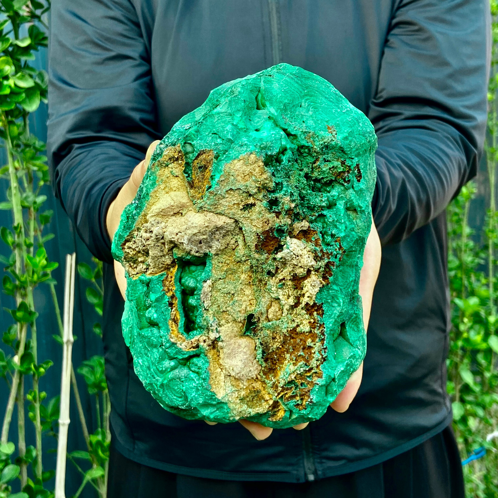 5LB Natural tortoise Malachite transparent cluster coarse mineral sample