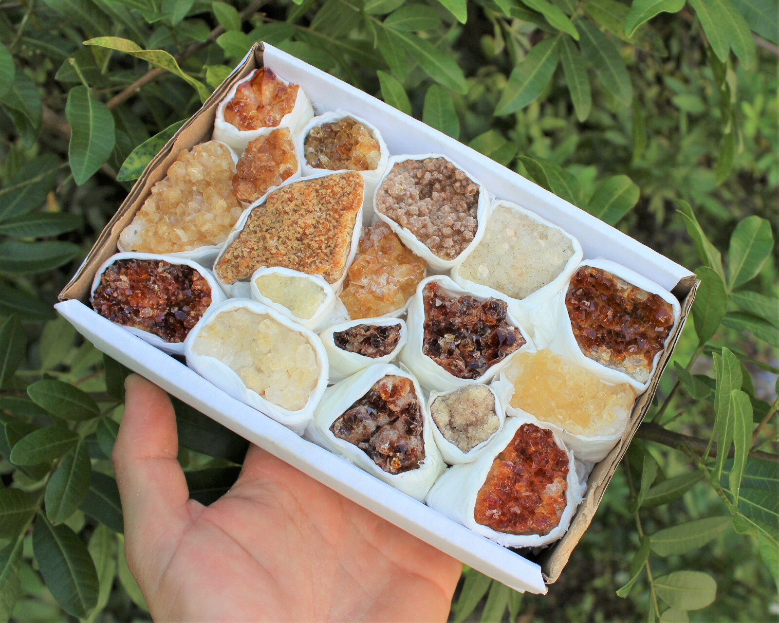 Citrine Crystal Clusters Box: Wholesale Bulk 7-10 Piece Lot B Grade Citrine Flat