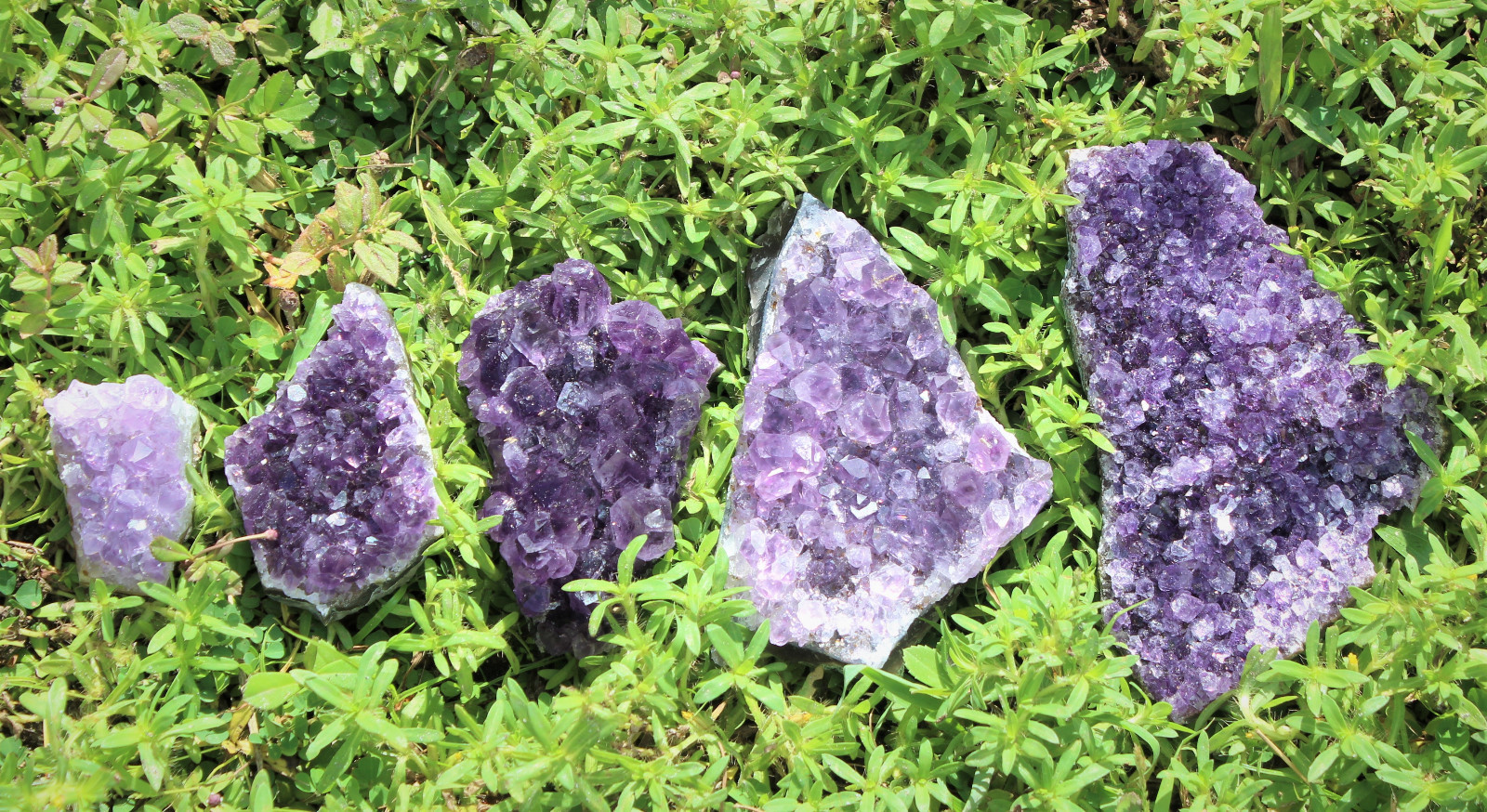 Amethyst Geode Druzy Crystal Quartz Cluster Natural Specimen: You Choose Size!