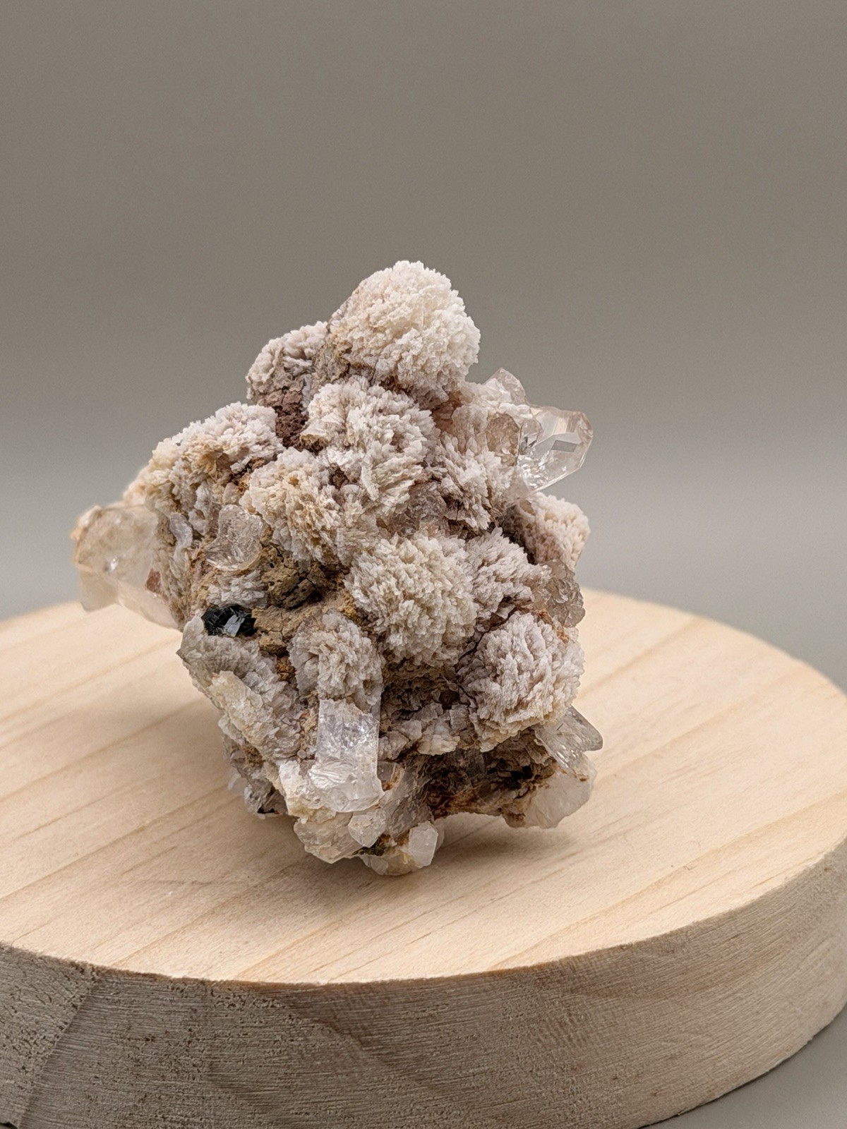 Garden Quartz Crystal Raw Natural Specimen Stunning