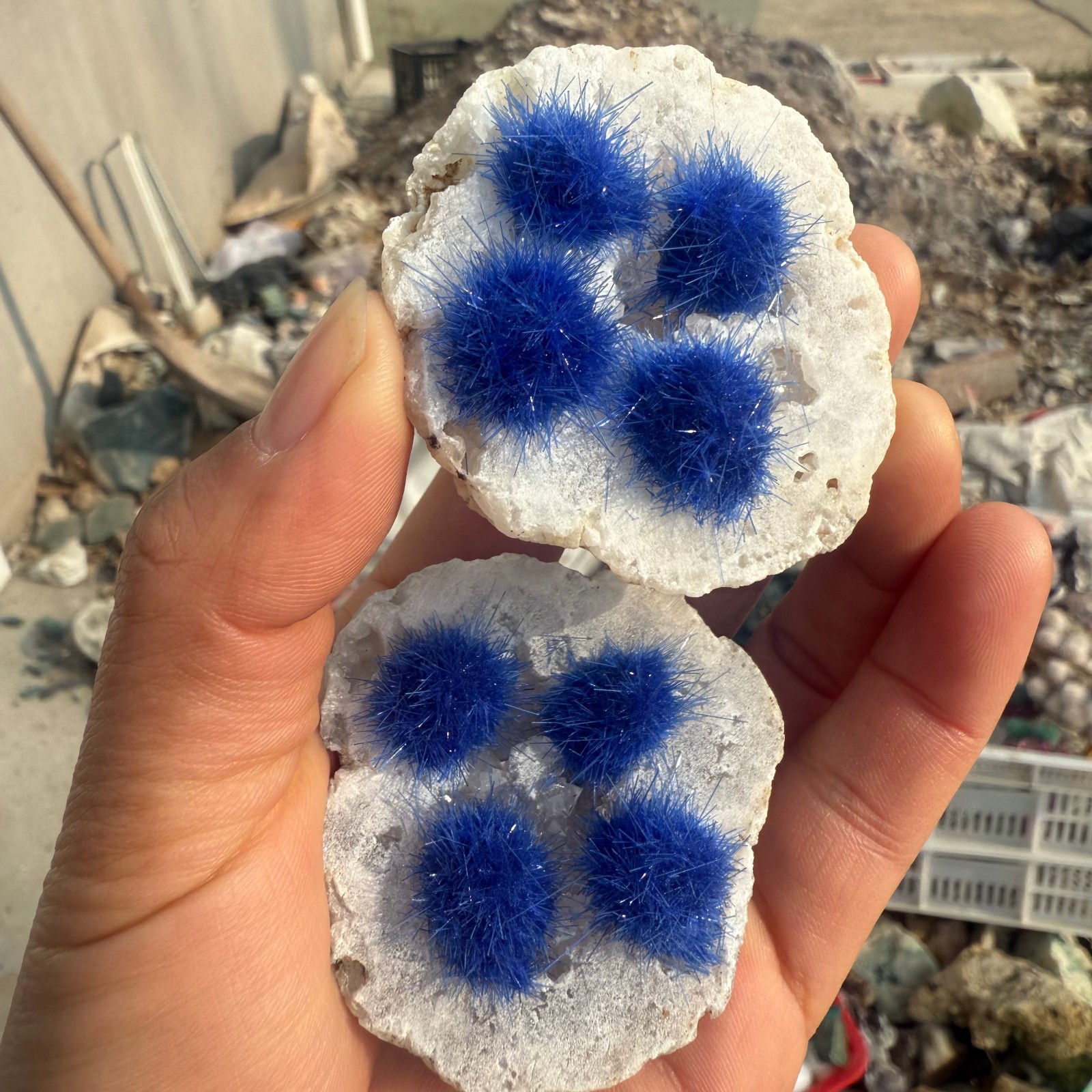 Raw Rough Dandelion Zeolite Cluster Blue Cave Quartz Crystal Decoration 10pc