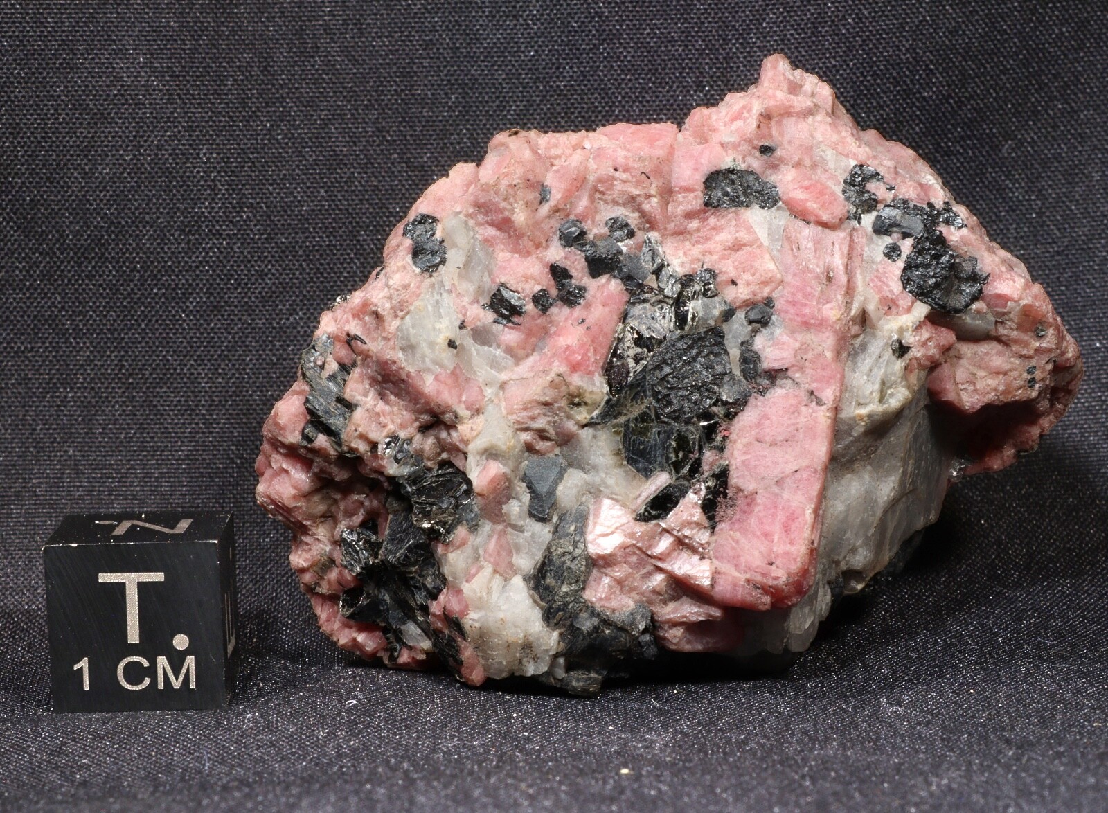 5 cm Rhodonite with Franklinite and Calcite from Franklin, New Jersey