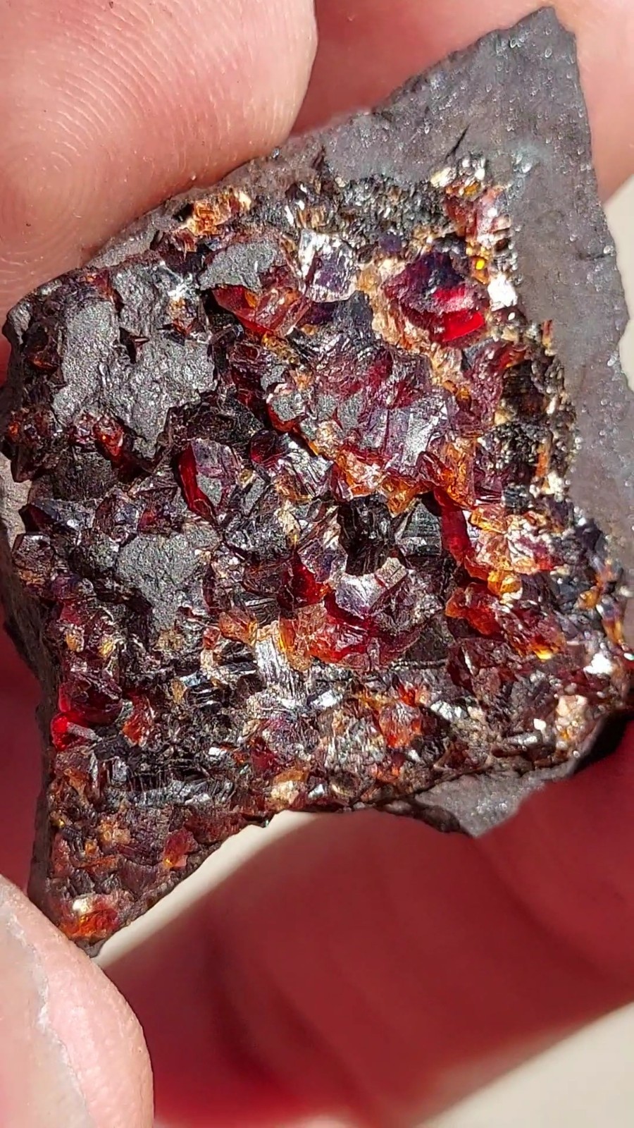 ULTRA RARE GEM RHODOCHROSITE ON MATRIX N’Chwaning I Mine, KMF, South Africa