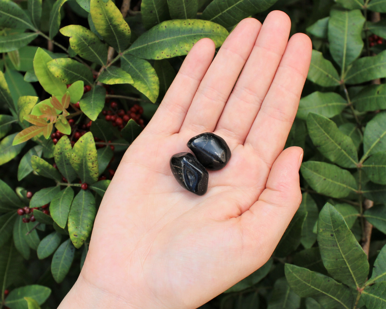 2 x Black Onyx Tumbled Stone Crystal Healing Tumble Gemstone Reiki Grounding