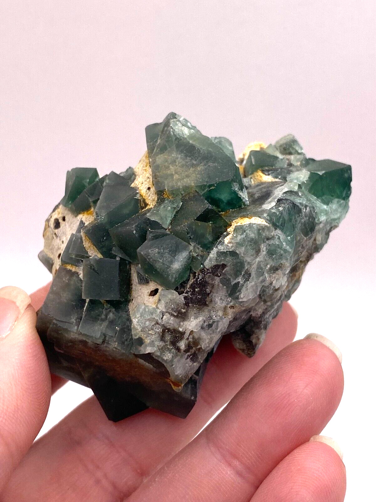 Rare Collectable British Fluorite UK Crystal 50 Year Pocket Green 100g FL16