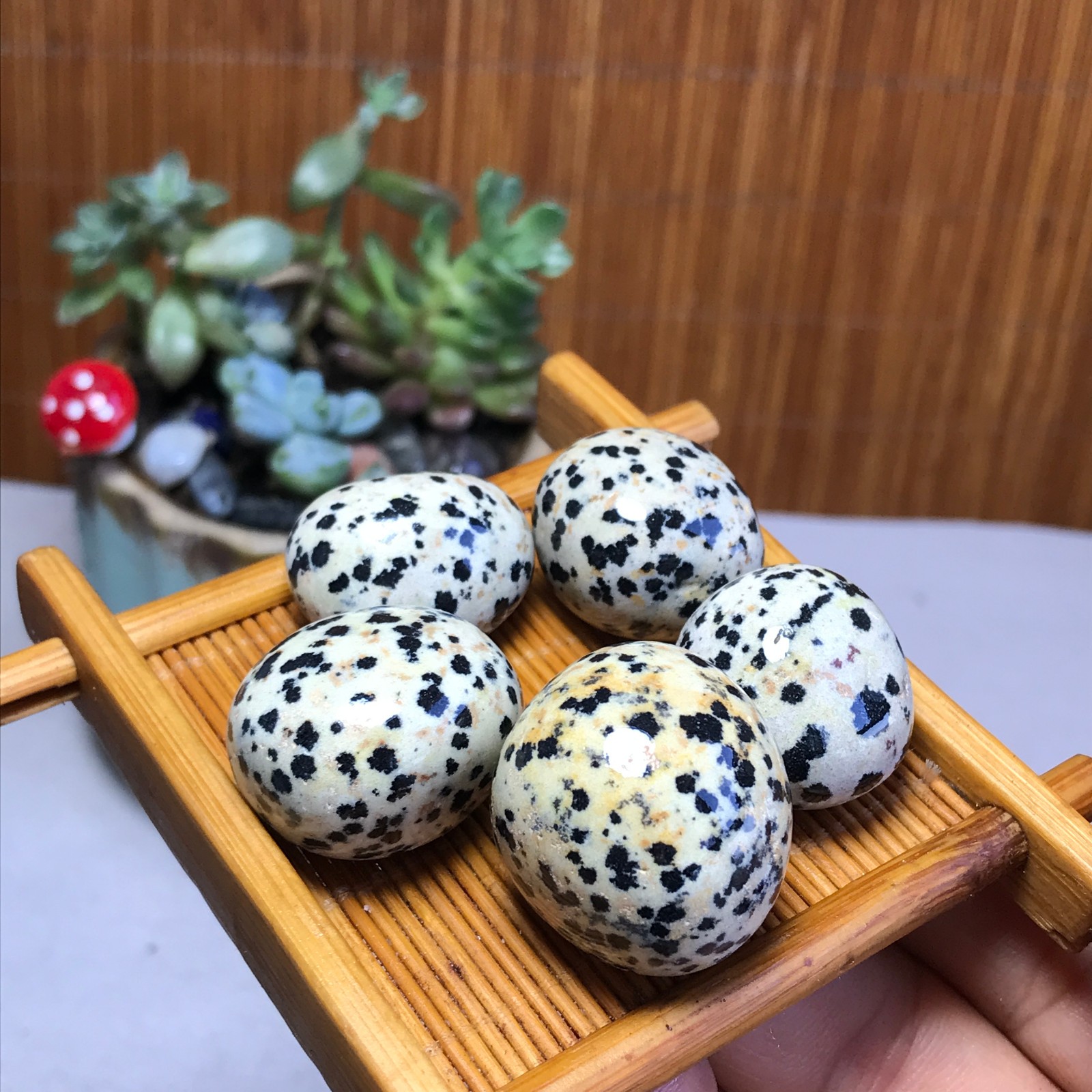 24-24-18mm 5Pcs Natural spotted stone Crystal gemstone Mineral Specimen A5717