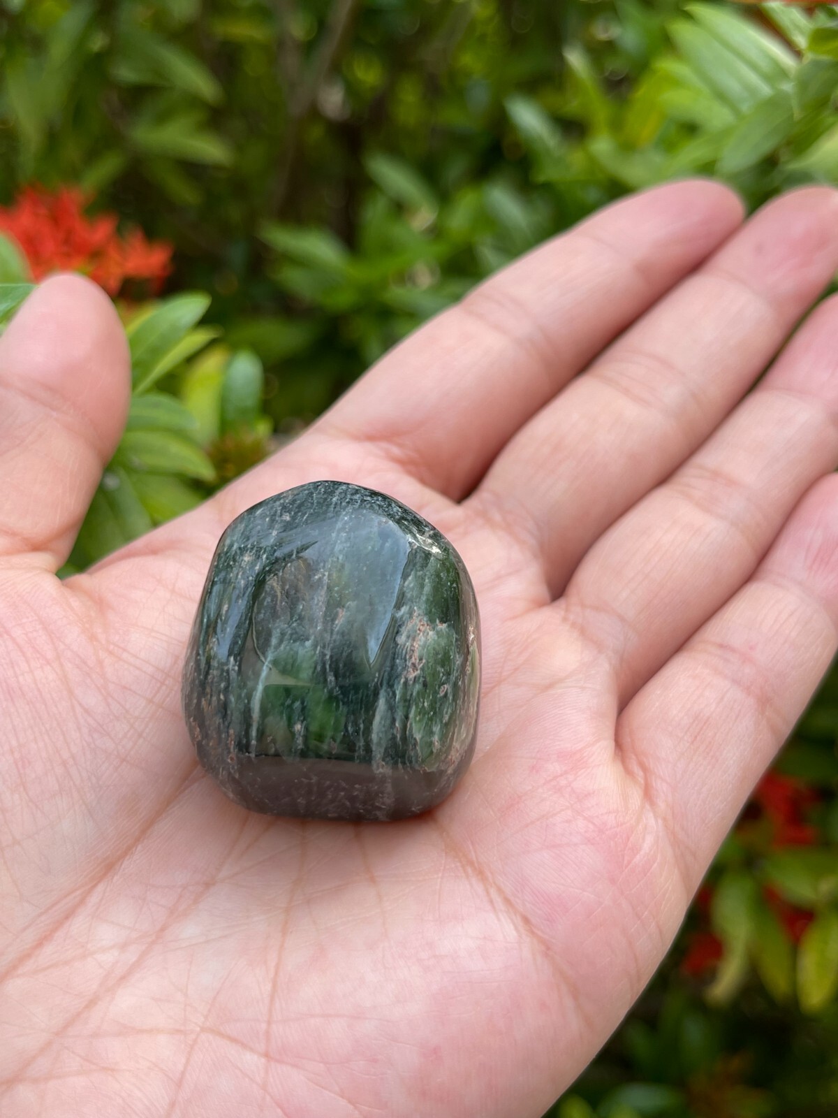 Nephrite Jade Tumbled Stones, 1-1.5 Inch Nephrite Jade Crystals, Healing Crystal