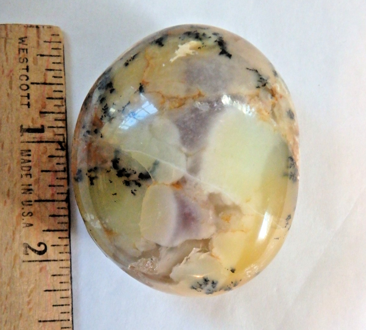 Crystal Stunning Fern Opal Palm Stone Polished 94.1 grams Dendritic Opal