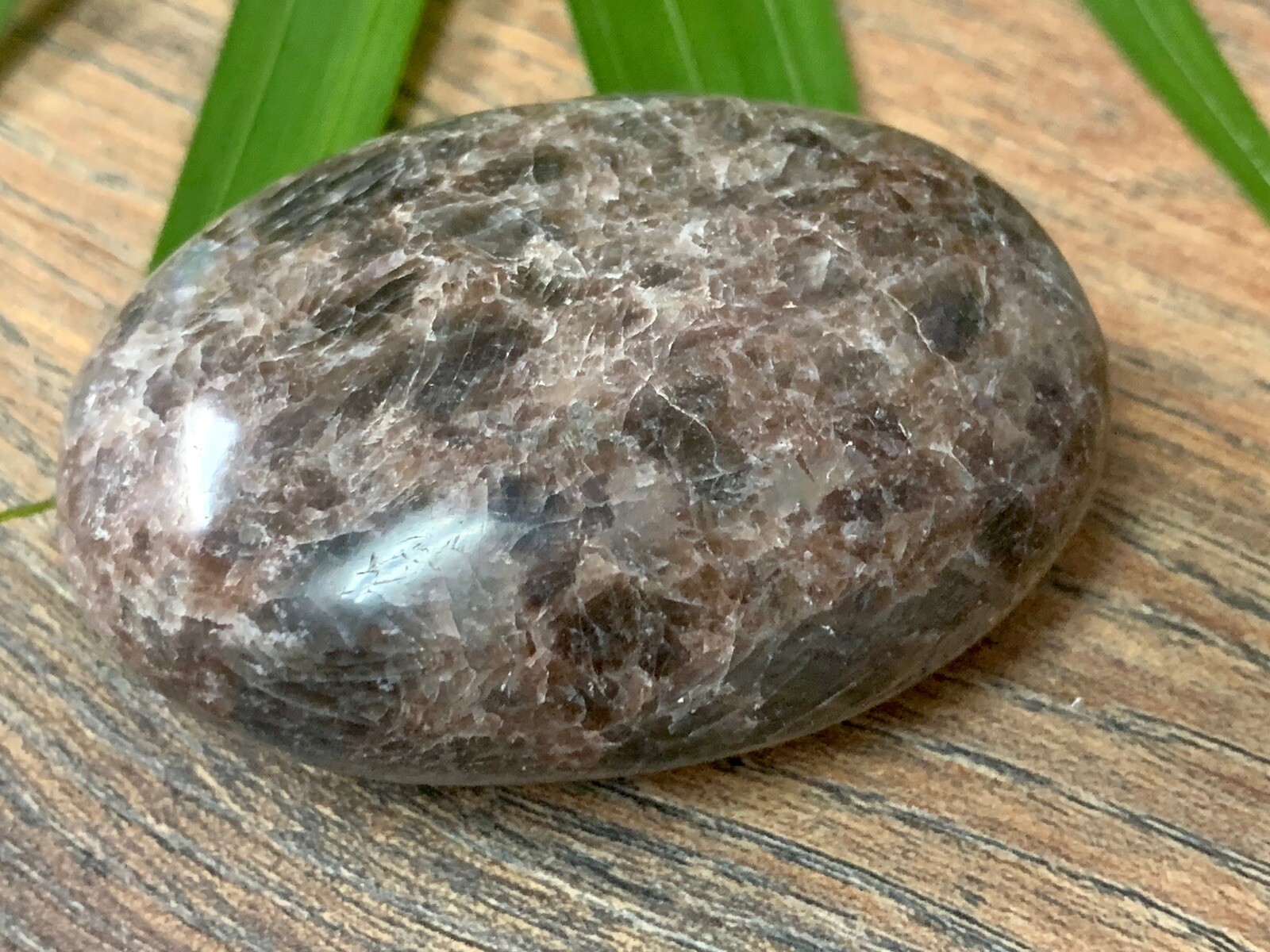 Galaxy Palm Stone Large Soap Stone Flat Therapy Meditation Specimen Reiki Cha