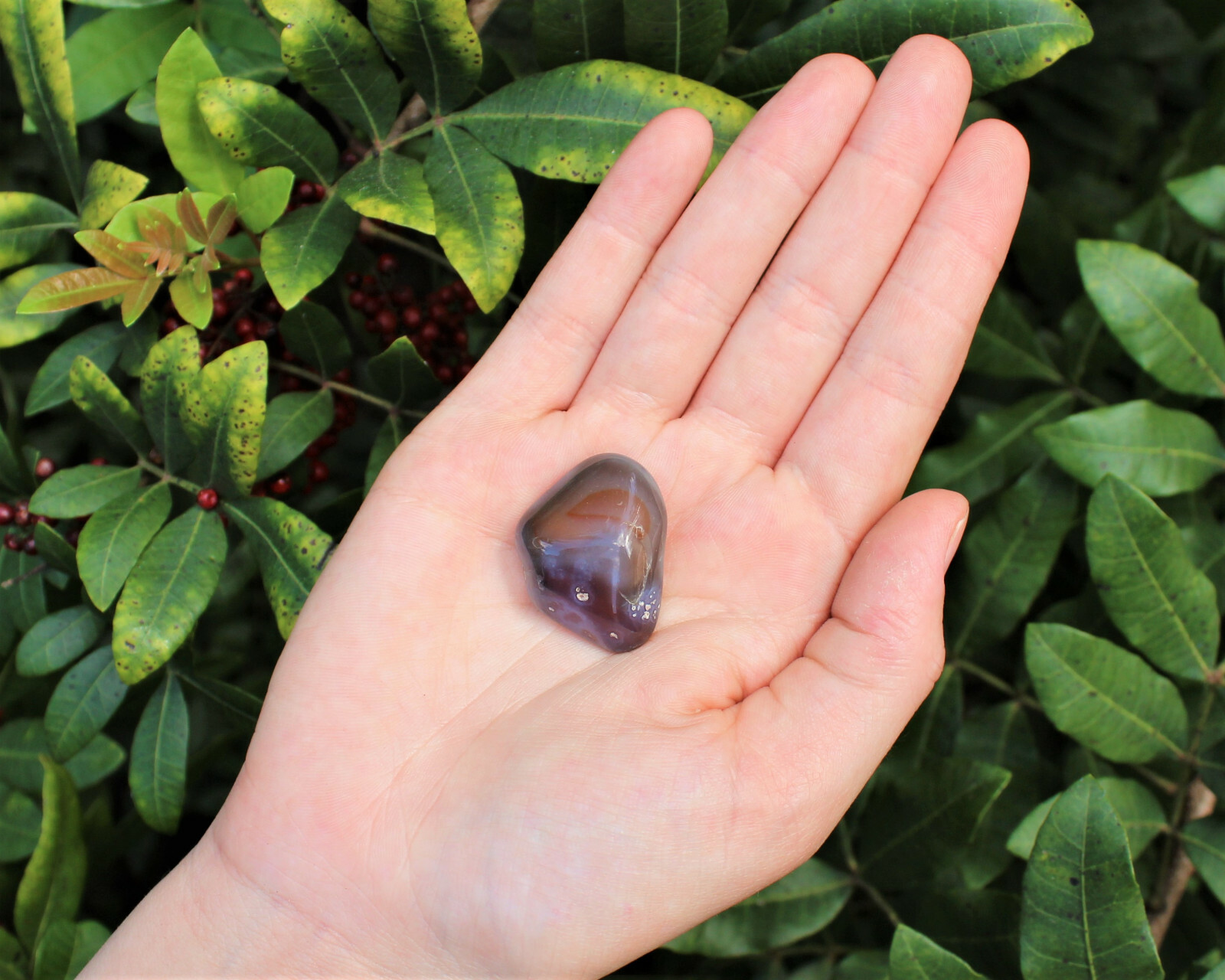2 oz Lot Botswana Grey Agate Tumbled Stone Crystal Healing Gemstone