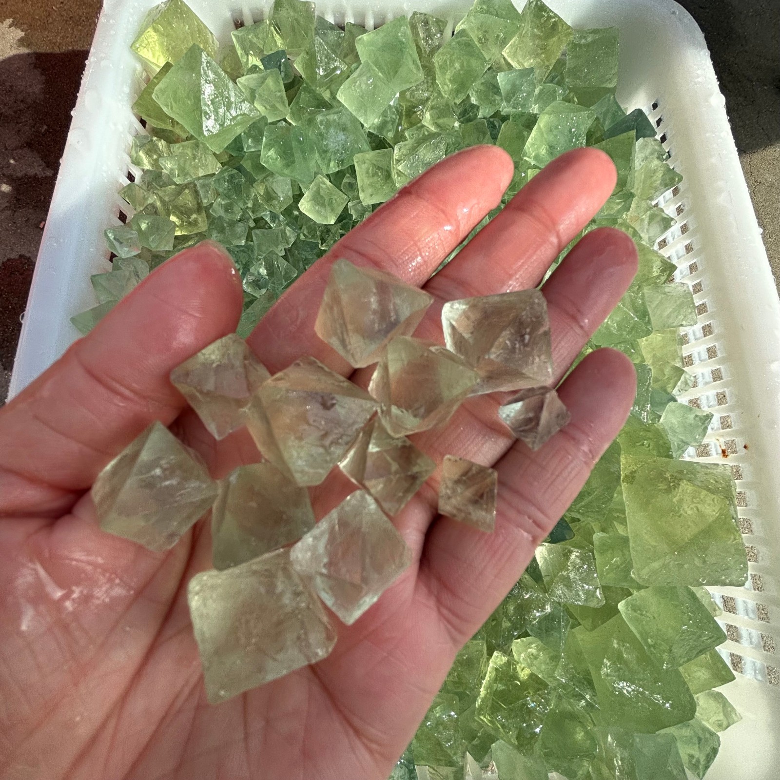 2.2 LB Natural Green Fluorite Octahedron Quartz Crystal Point Healing Gift