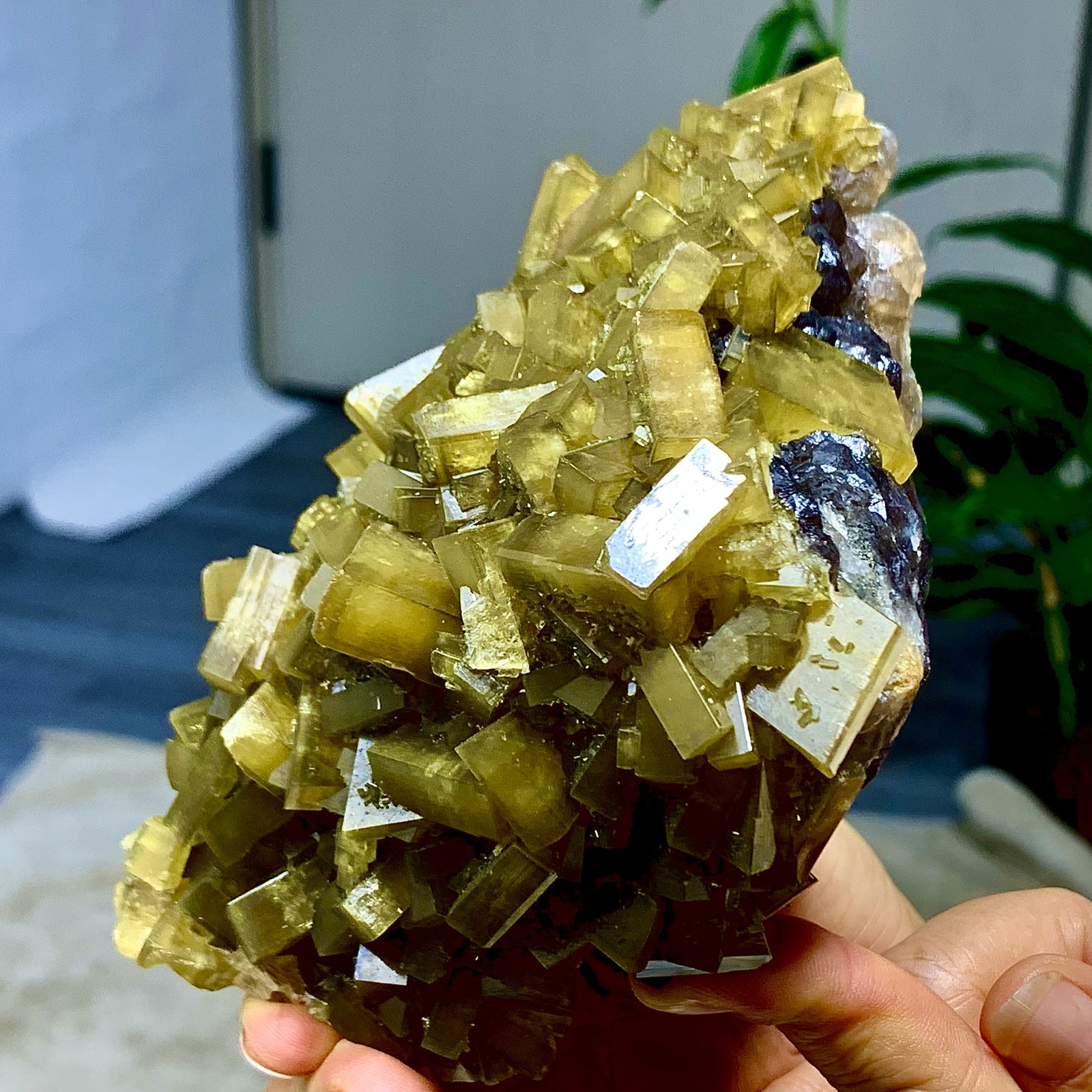 2.36LB Shiny Golden Cuboid Barite Crystal Based on the Purple Spherical Fluorite