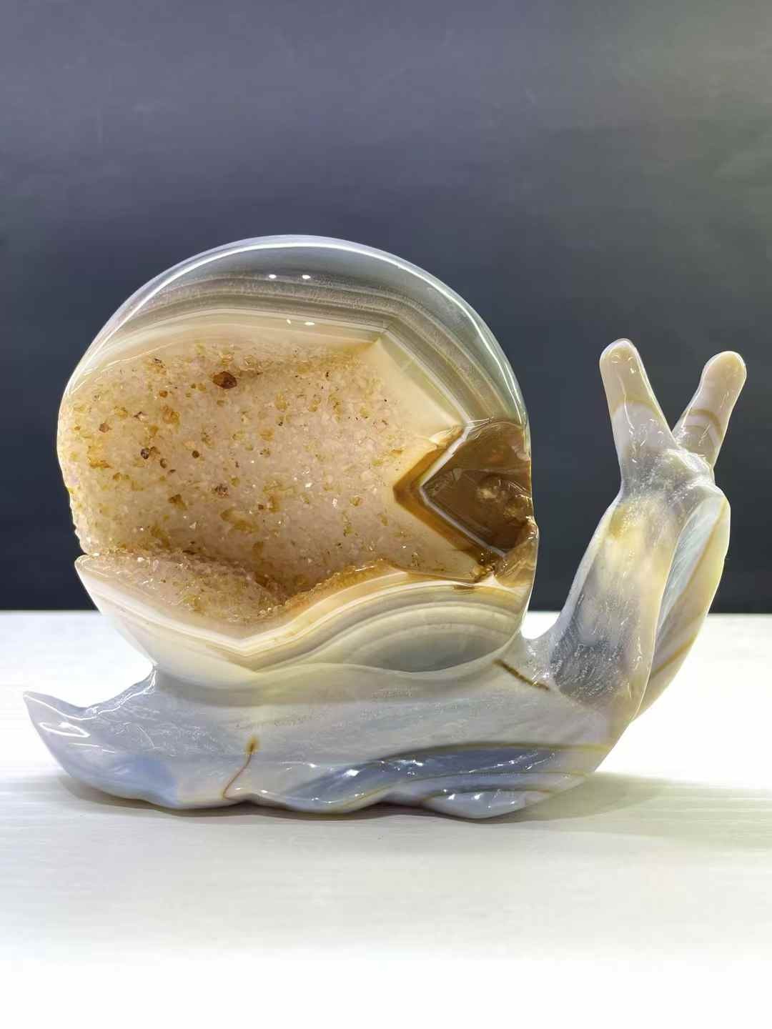 140*110mm Natural Agate Geode Quartz Carved Crystal Snail Skull Reiki Decor