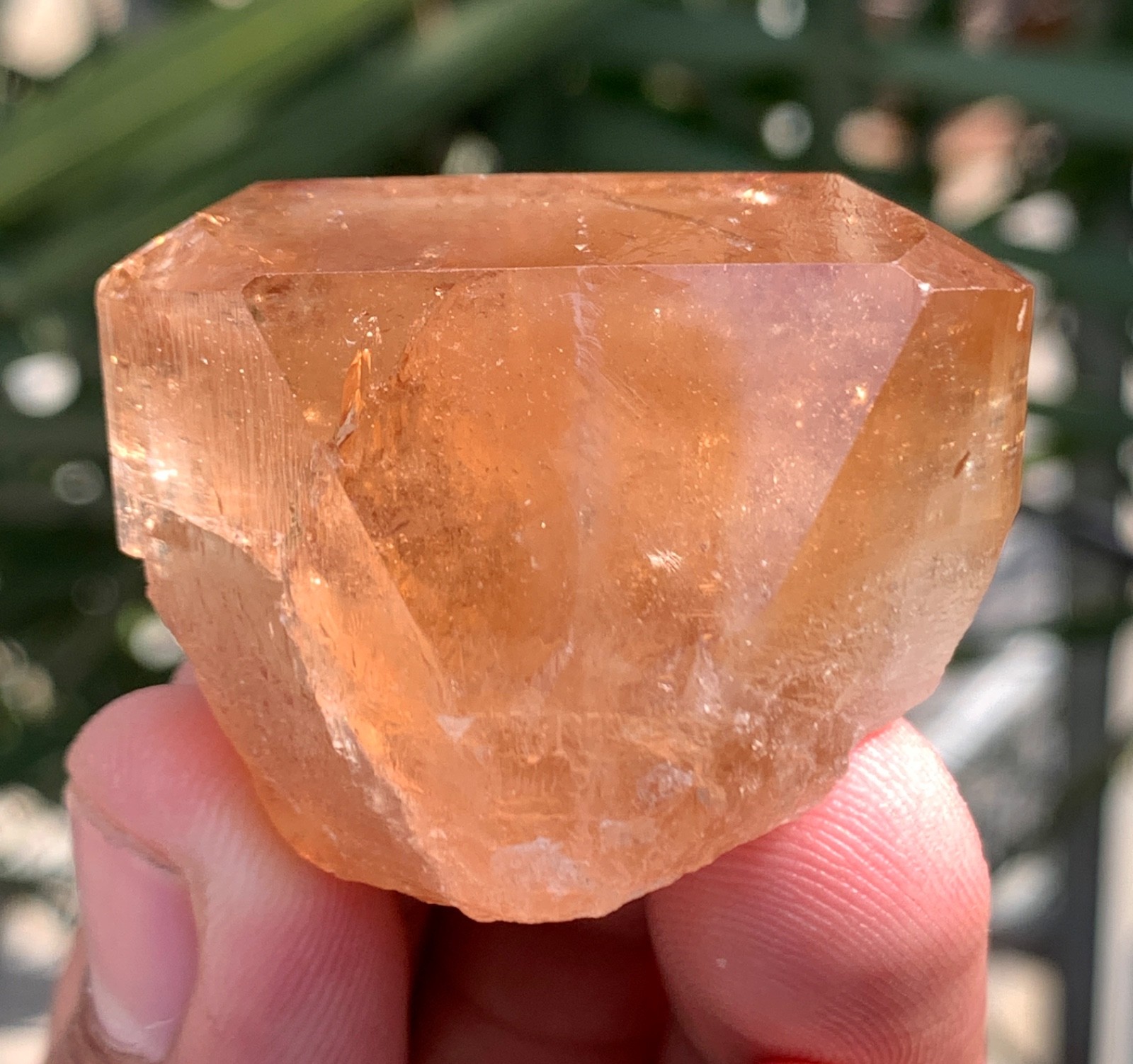59 Gm Natural Topaz Wonderful Well Terminated, Gemmy, Fully Lustrous Crystal Pak