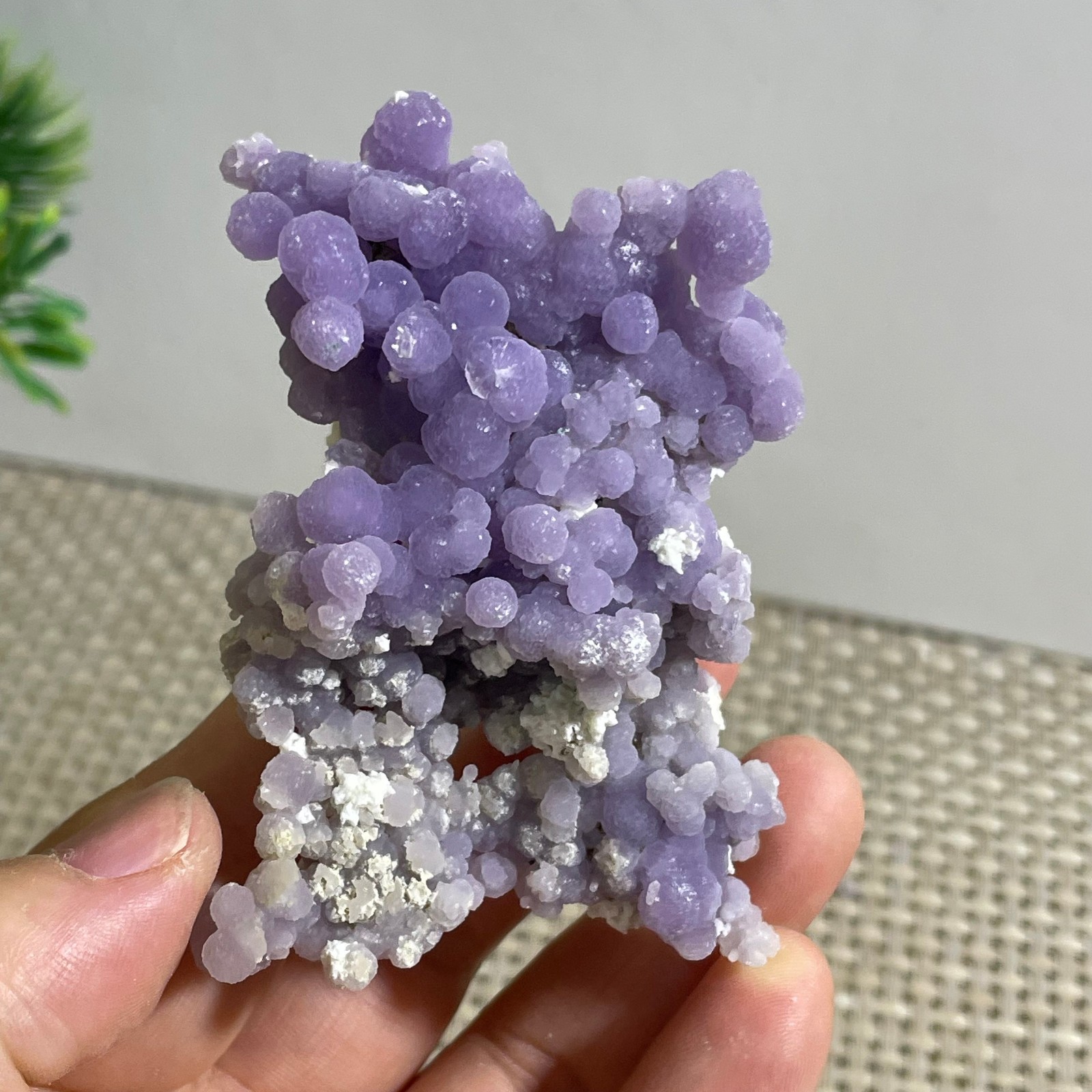 50g Purple stone, grape agate, quartz crystal, granular mineral
