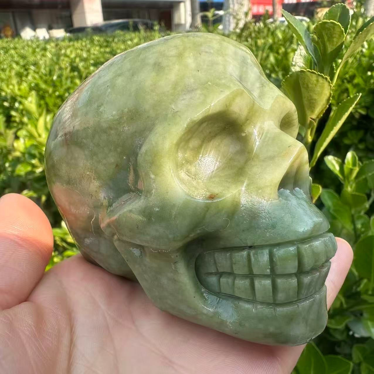 1pc Natural ophiolite carved Quartz Crystal skull Mineral Specimen