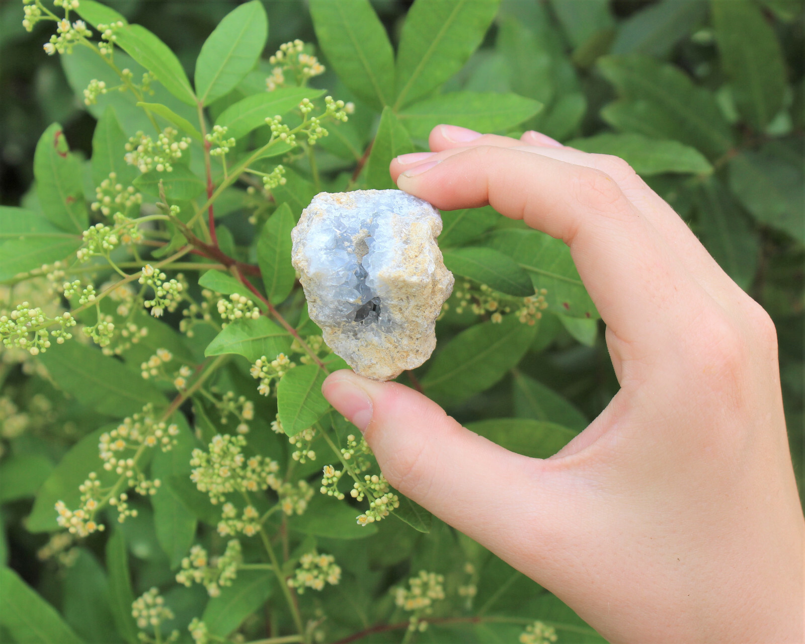Natural Celestite Clusters – Wholesale Bulk ‘A’ Grade: 10-15 Piece Bulk Box Lot