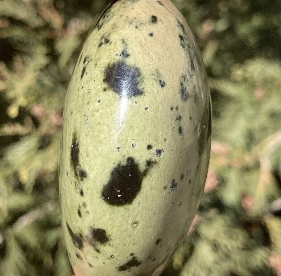 Handmade Polished SERPENTINE Healing Crystal Palm Stone Pebble ZIMBABWE 2.44″
