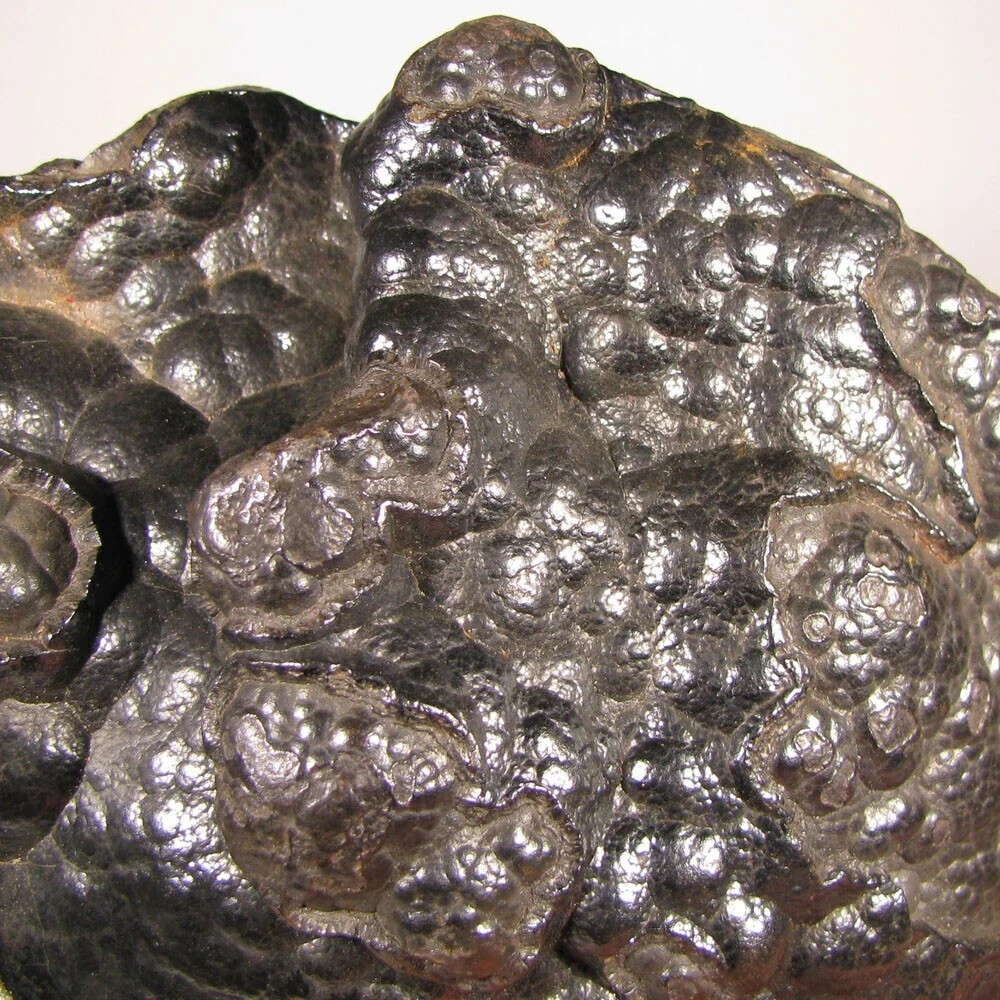 7.8″ BOTRYOIDAL HEMATITE Kidney Ore Cluster – Morocco – 6 lbs.