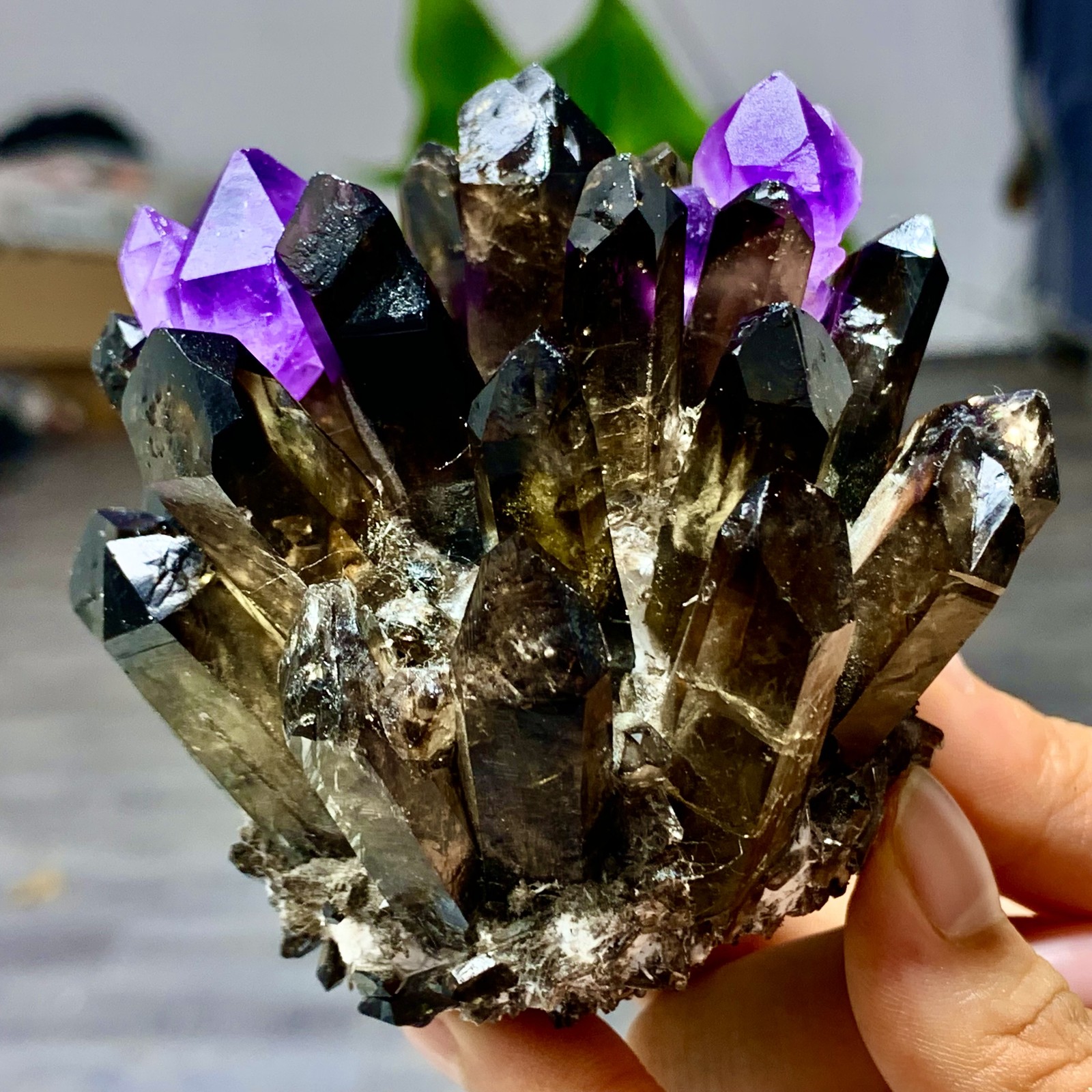 320G New Find black+purple Phantom Quartz Crystal Cluster Mineral Specimen