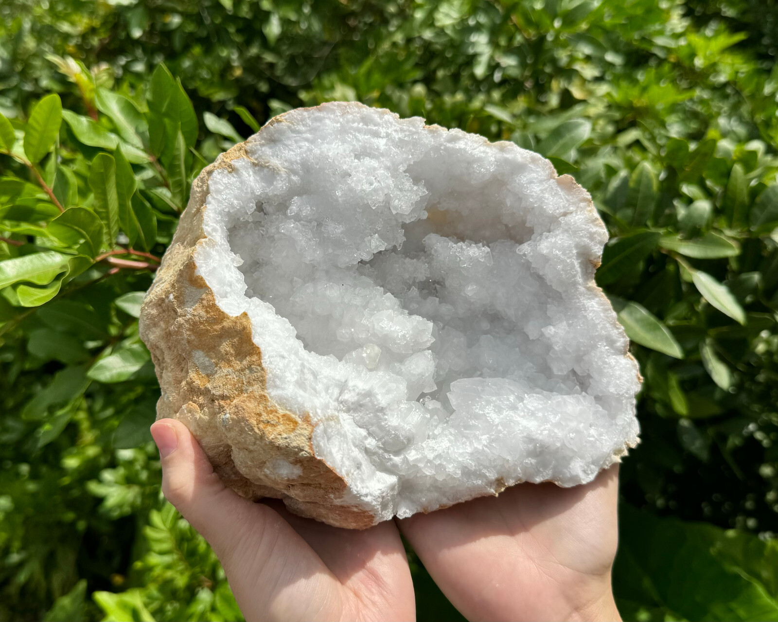 MASSIVE Sugar Quartz Geodes – Natural Crystal Geode Specimens From Morocco