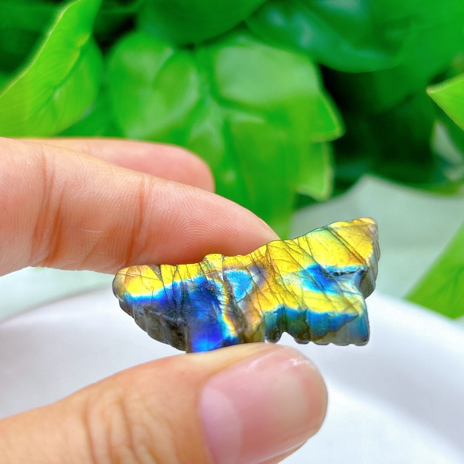Natural labradorite Butterfly Hand Carved crystal Healing