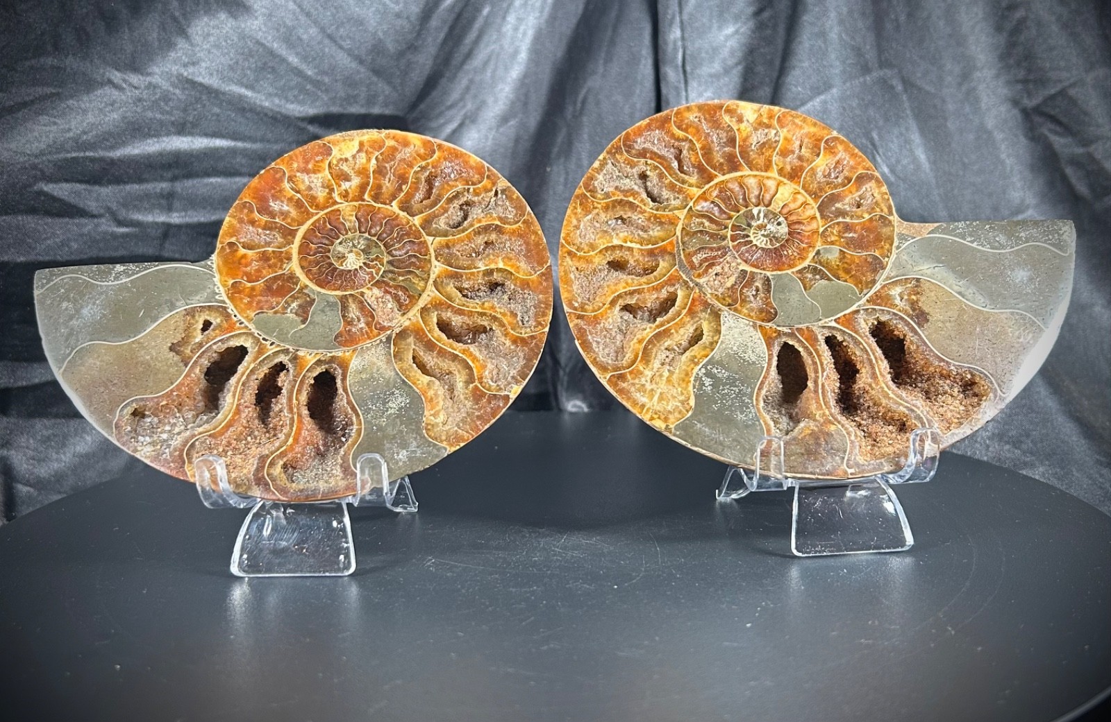 5.44″ Bookend Sliced Ammonite With Acrylic Stands 1lb 1.3 oz (190 grams)