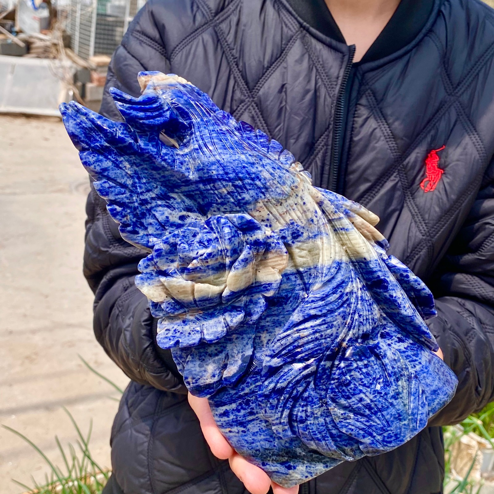 7LB Natural Blue Texture Crystal Carving Phoenix Rose Spiritual Energy