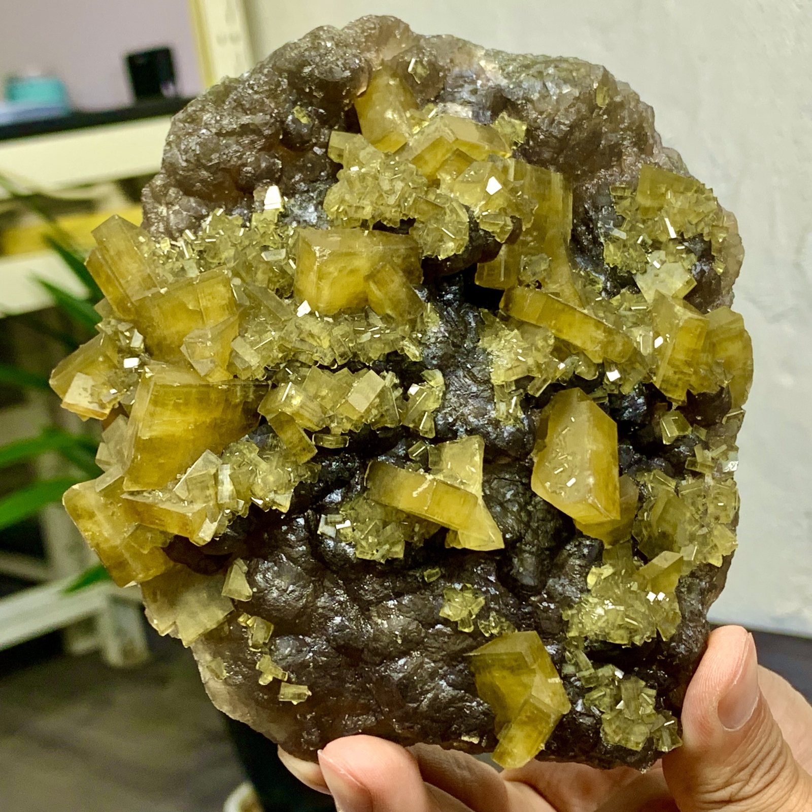 2.76LB Shiny Golden Cuboid Barite Crystal Based on the Purple Spherical Fluorite