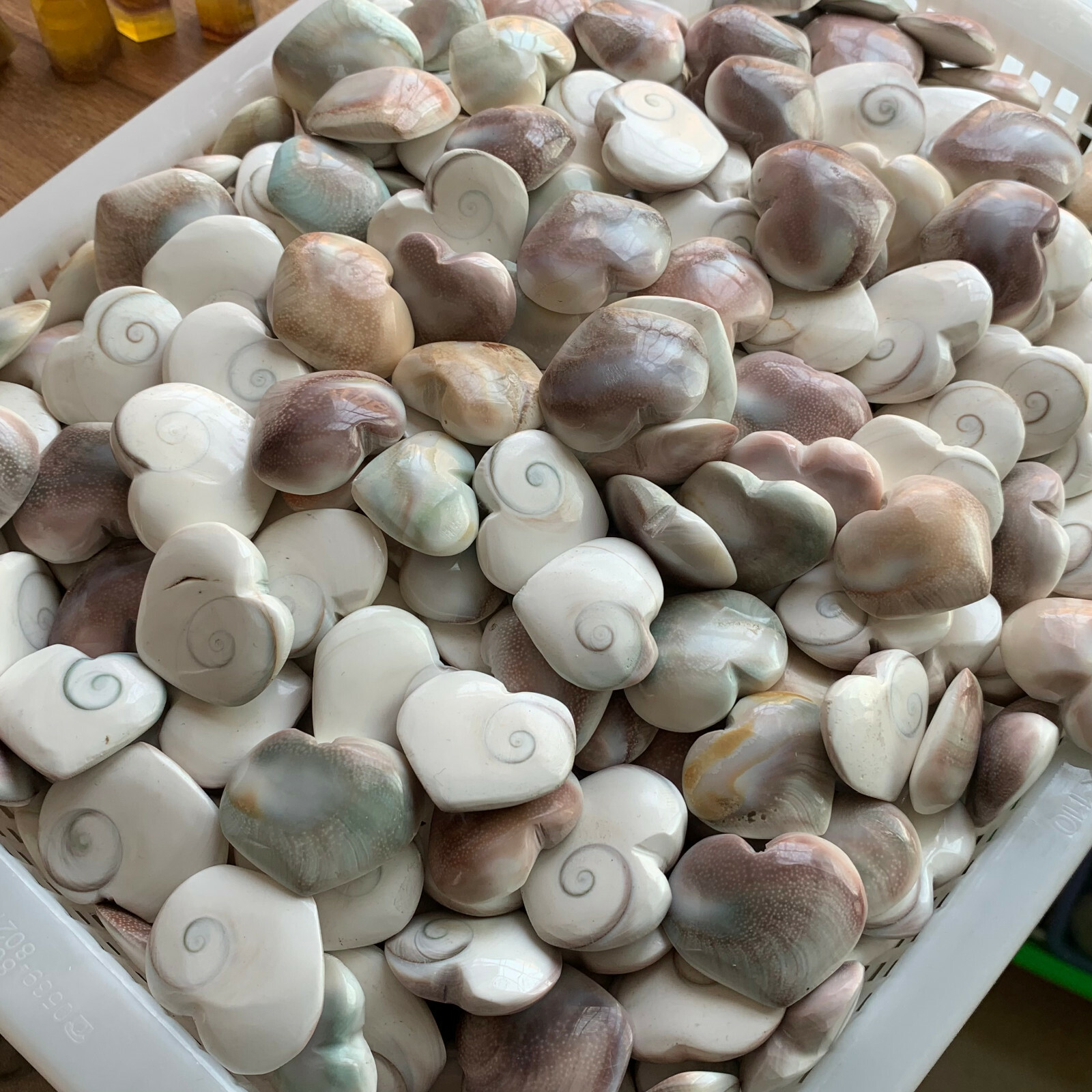 1LB Random Natural shell fossil crystal heart craft conch healing