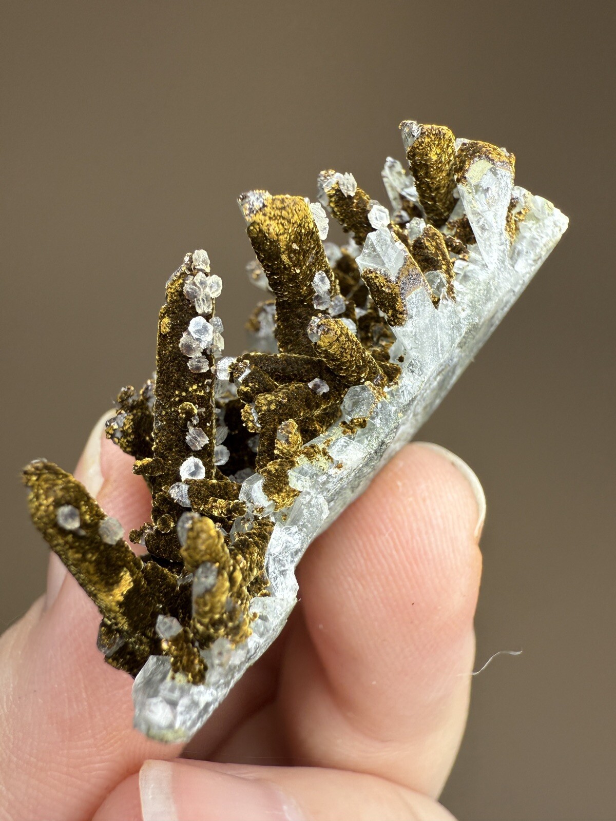 STUNNING Druzy Calcite & Bronze Velvet Chalcopyrite on Quartz Cluster • China