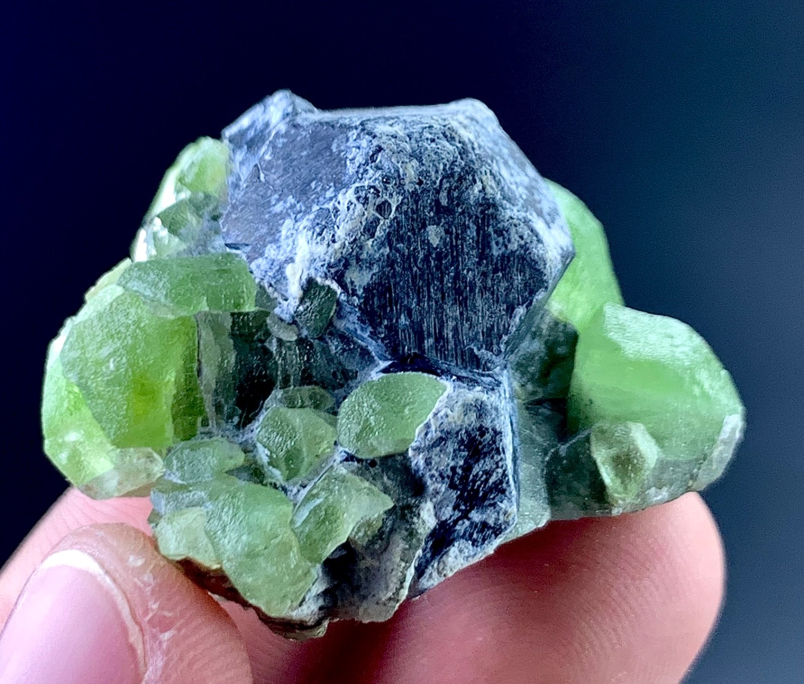 Peridot Crystal Specimen From Pakistan 146 Carat